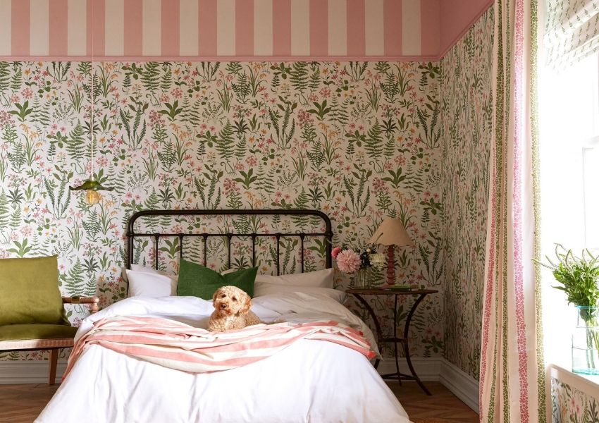 A fluffy dog lies on a bed with a pink striped blanket in a bedroom with floral wallpaper and a pink and white striped ceiling.