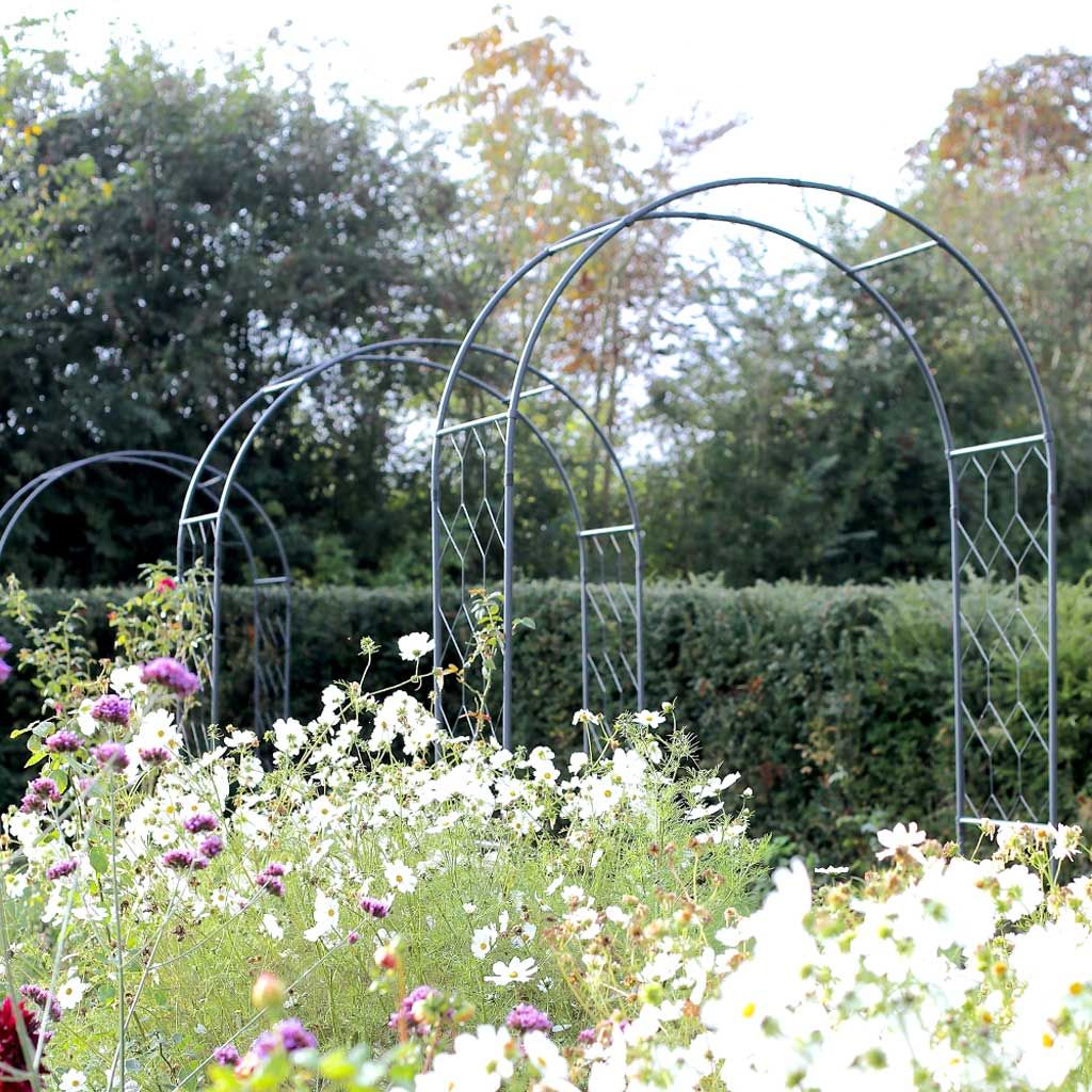 Garden with white and purple flowers in the foreground and a series of dark metal arches.