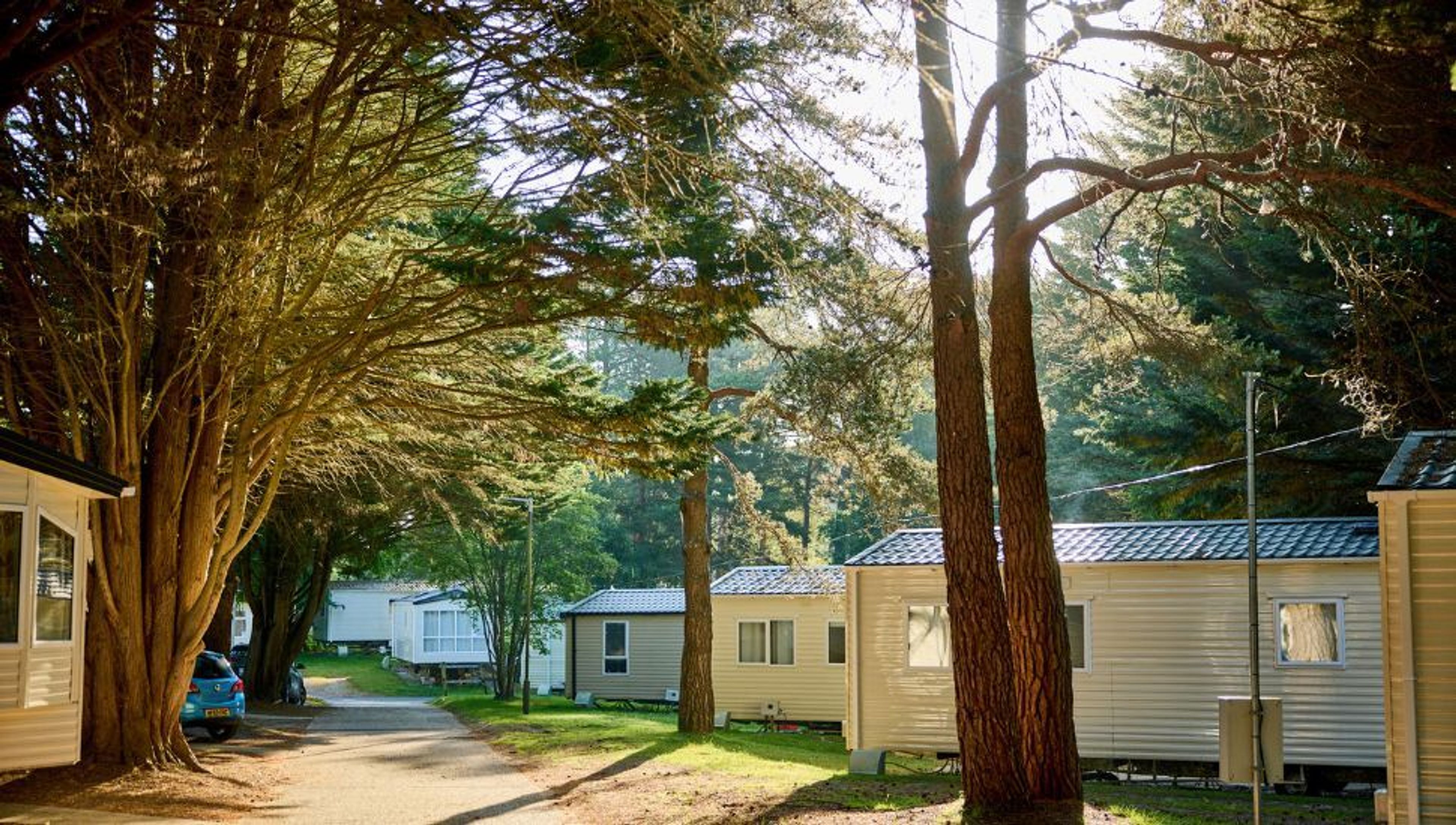 A sunlit path winds through a caravan park, lined with mobile homes and tall trees.