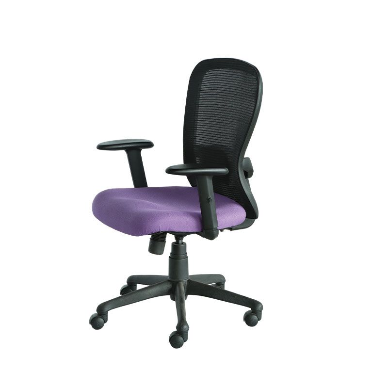 Executive - Minister MB