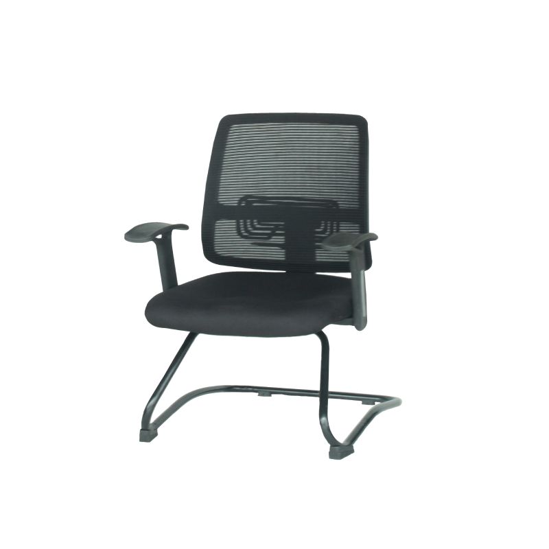 Visitor - Mustang VC