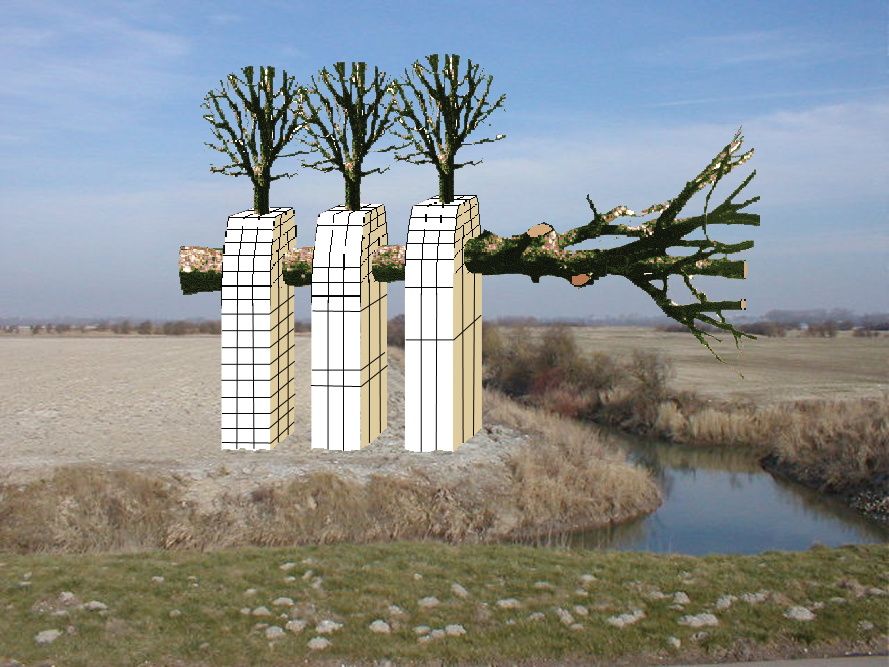 Sans titre n°4