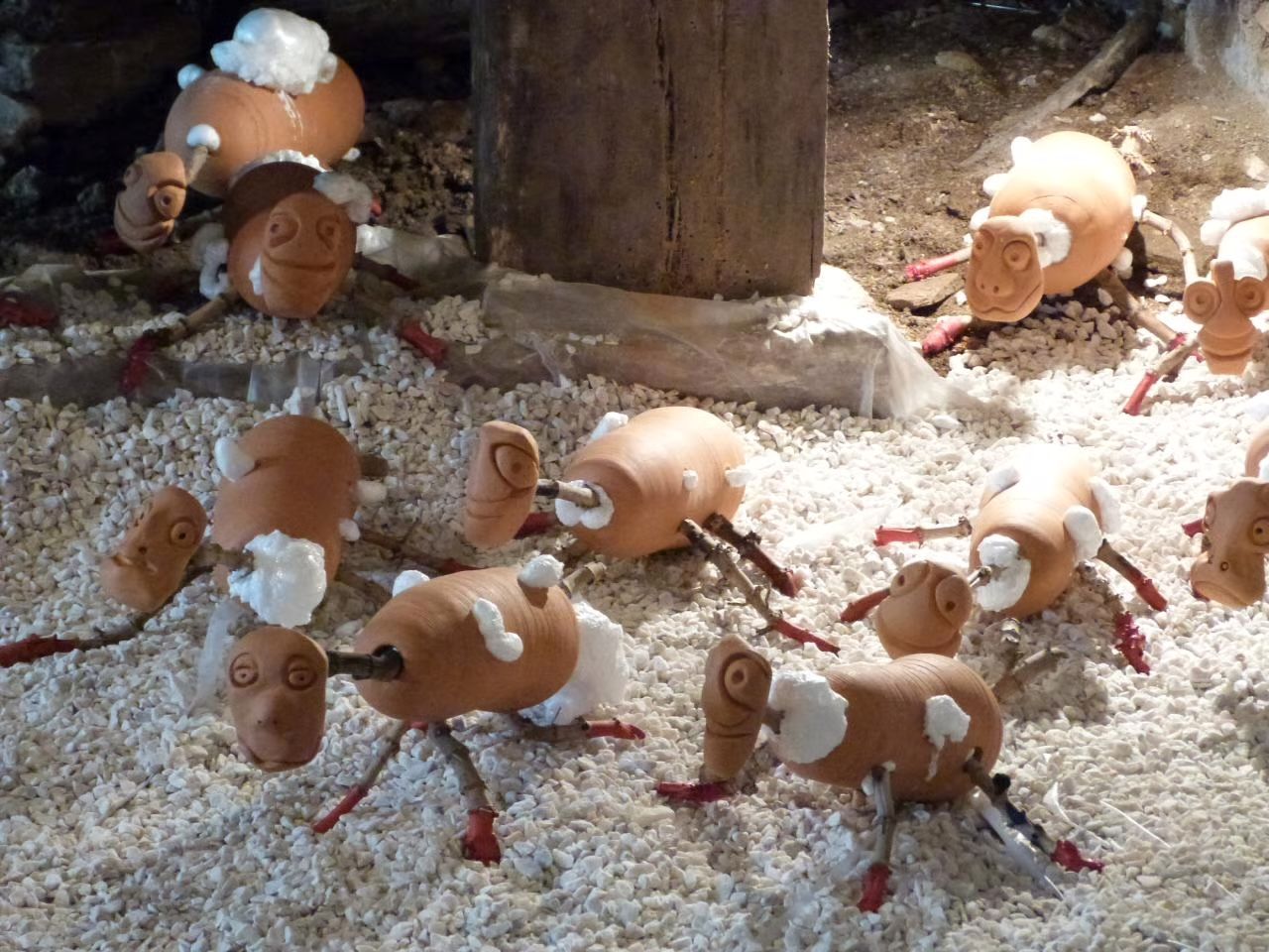 les patates germées