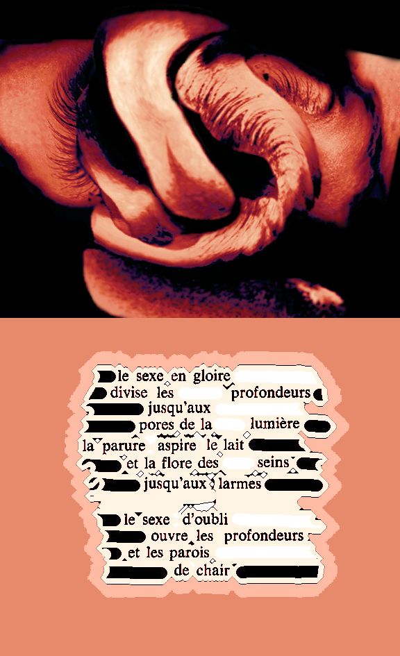 Le sexe en gloire