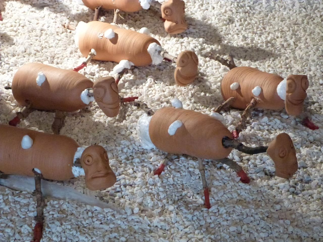 les patates germées