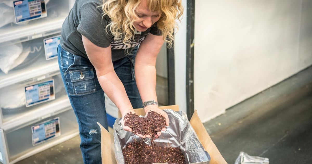 ISO 22000 vs FSSC 22000: Which Food Safety Certification Should You Choose in 2026?