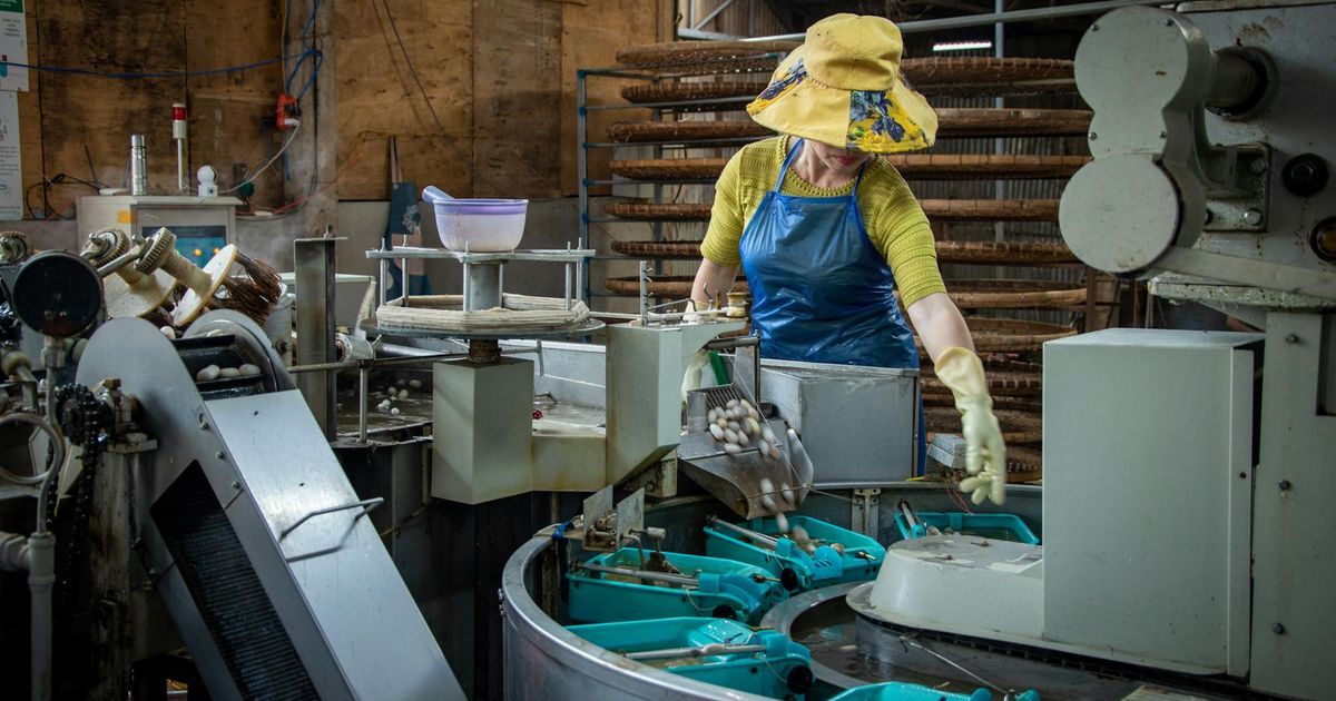 Factory Floor Workers Safety Equipment