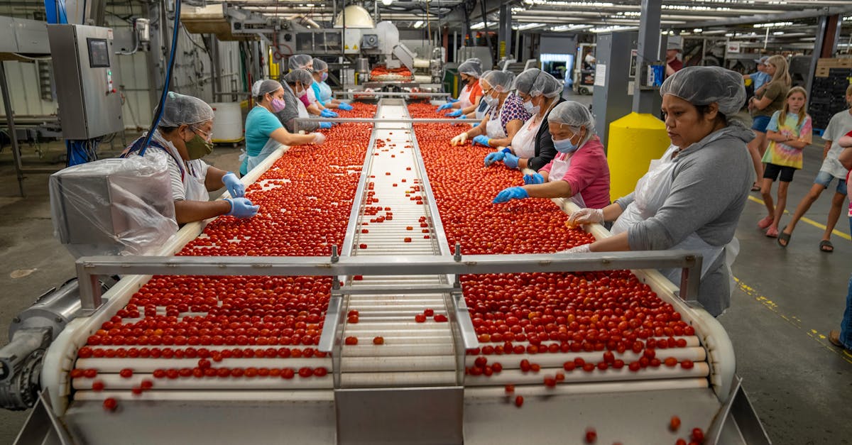 ISO 22000 vs FSSC 22000: Complete Comparison for North American Food Manufacturers (2026)