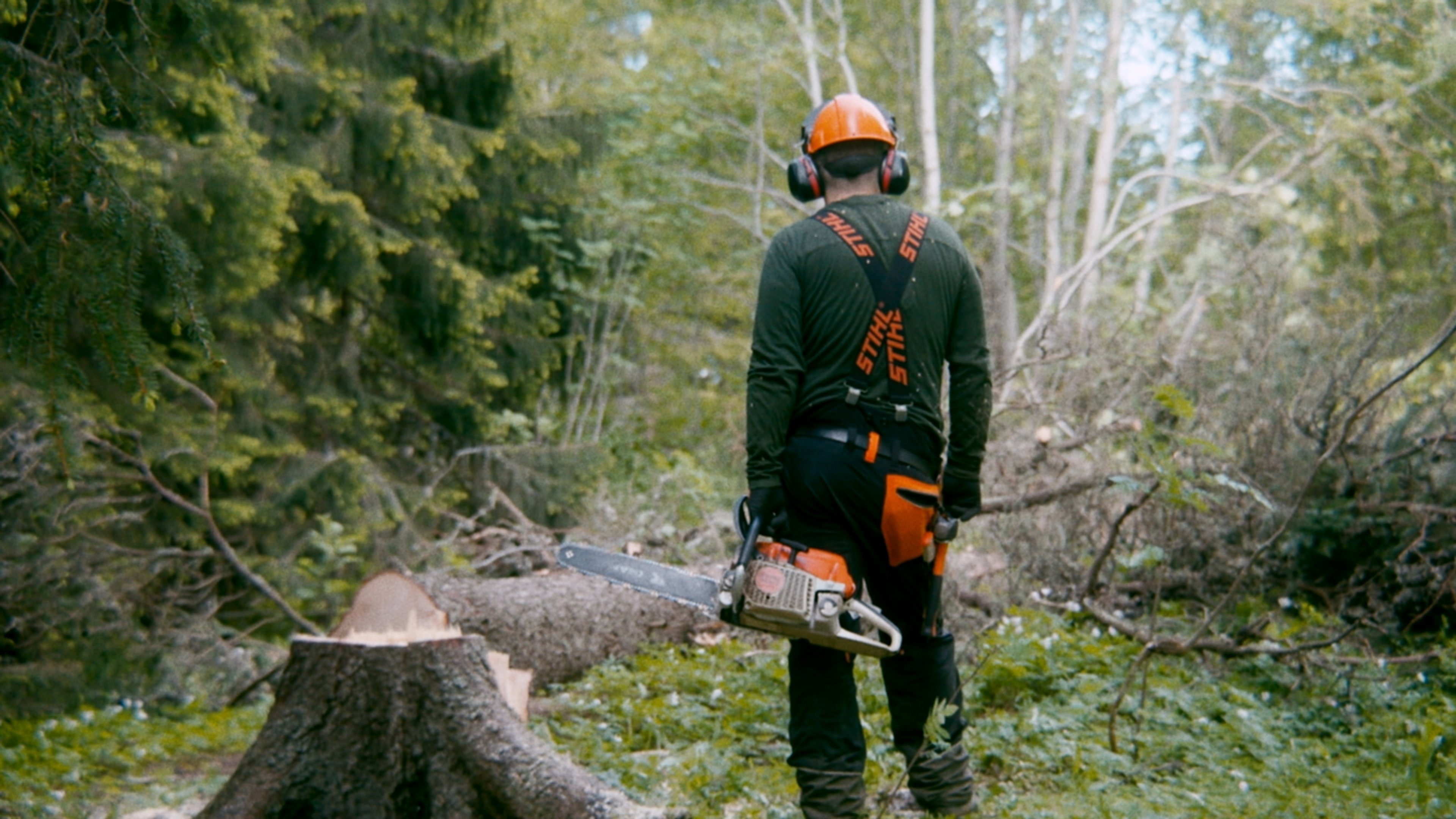Rydder i skogen, rydder i livet for HOGST