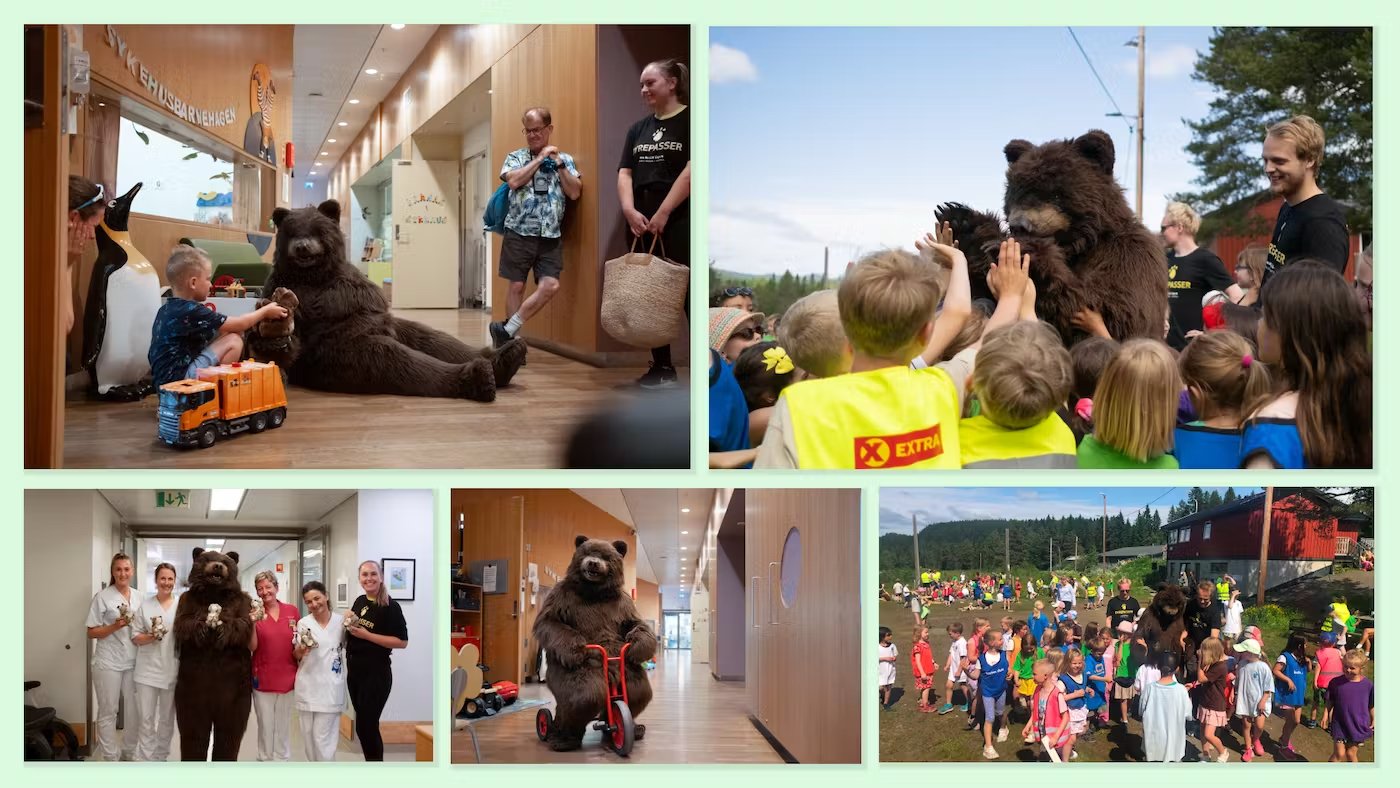 Bilde av bjørnen Odin på bytur, en kampanje for Namsskogan Familiepark & Hotell