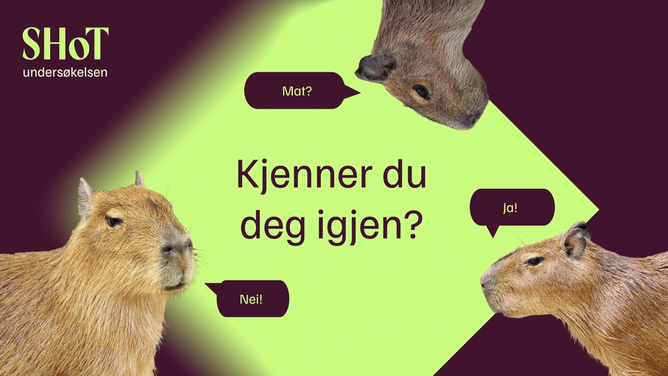 Ny profil og kampanje for SHoT