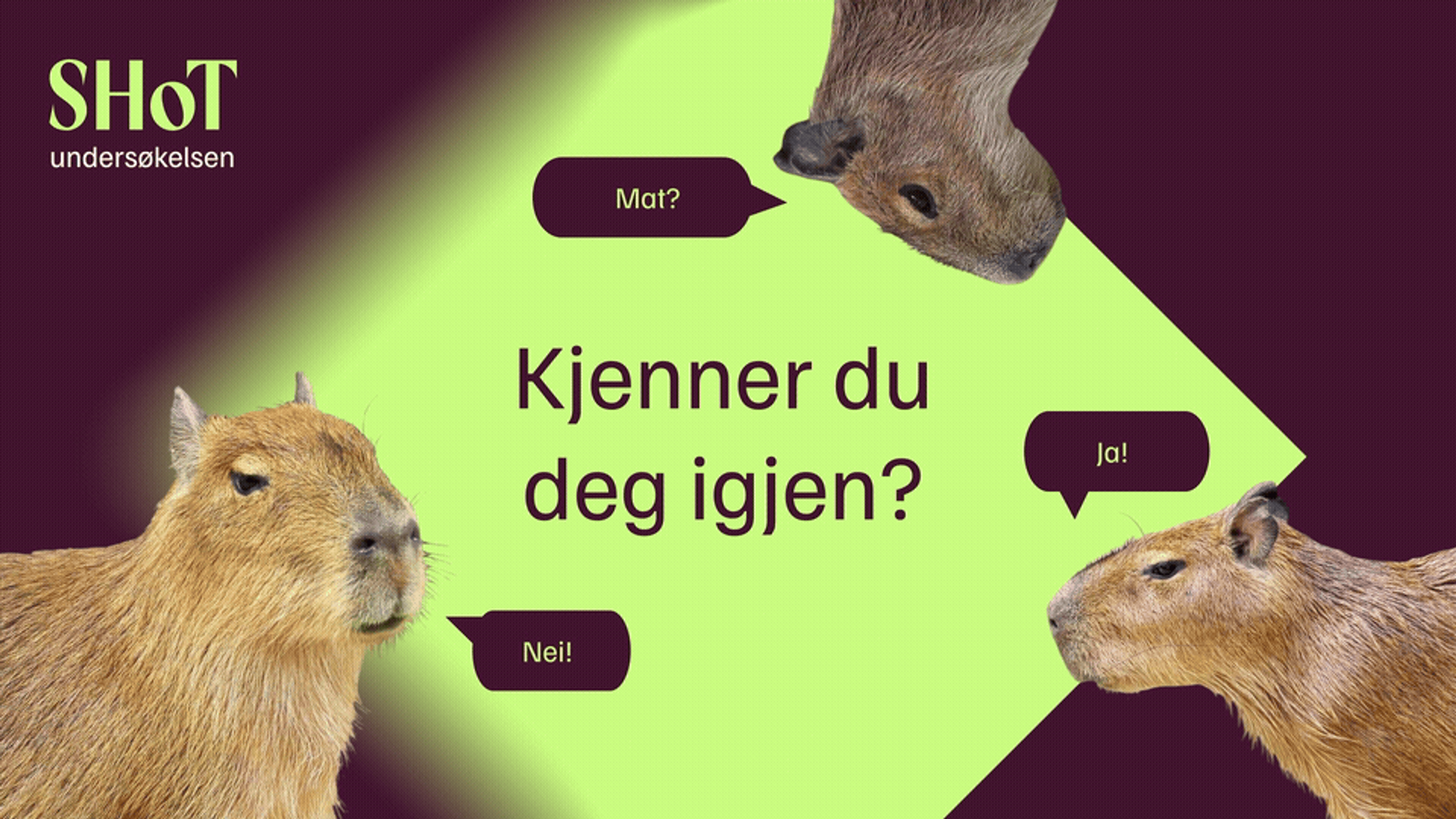 Ny profil og kampanje for SHoT