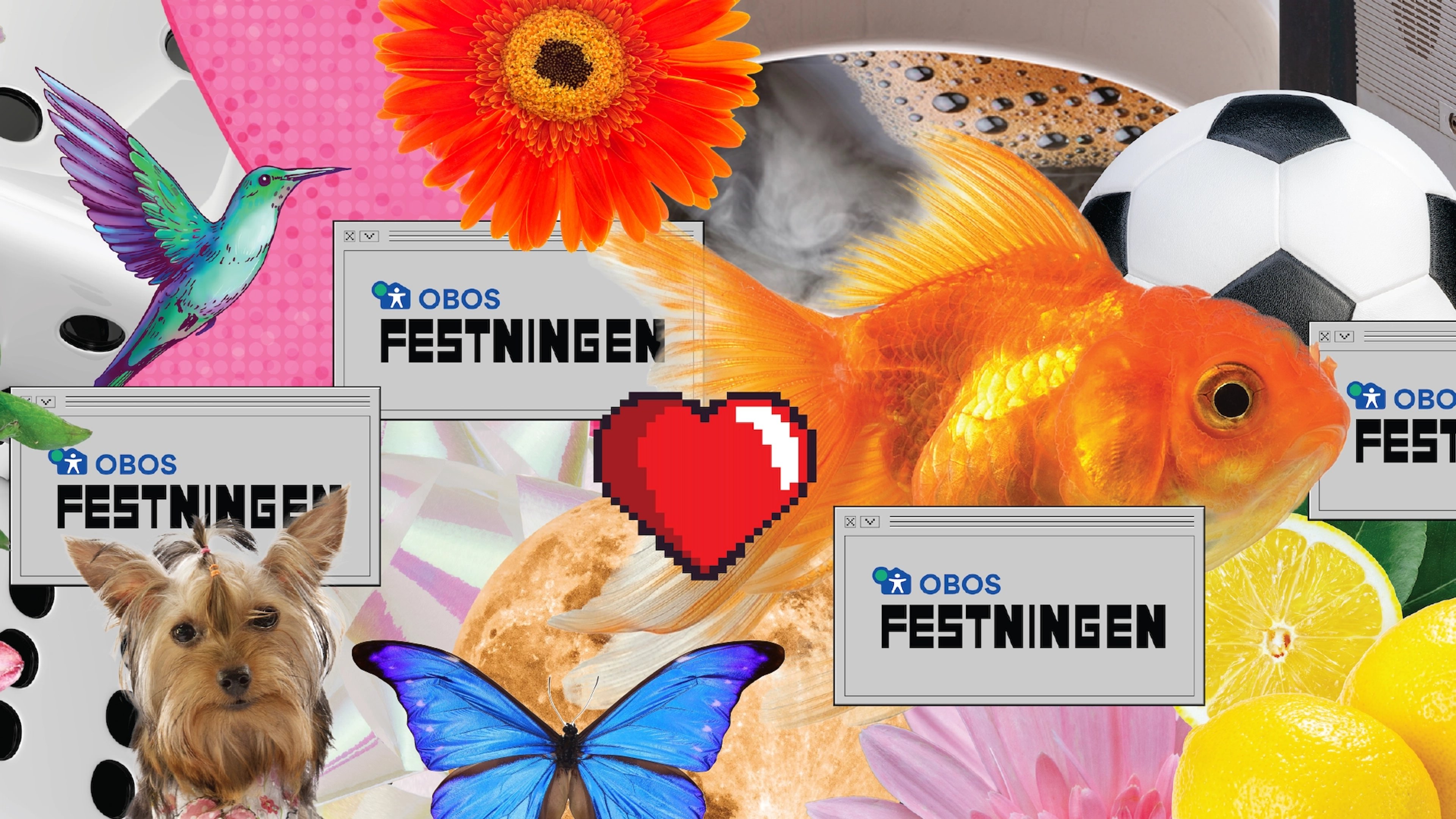 Dette er helt jævlig for Festningen