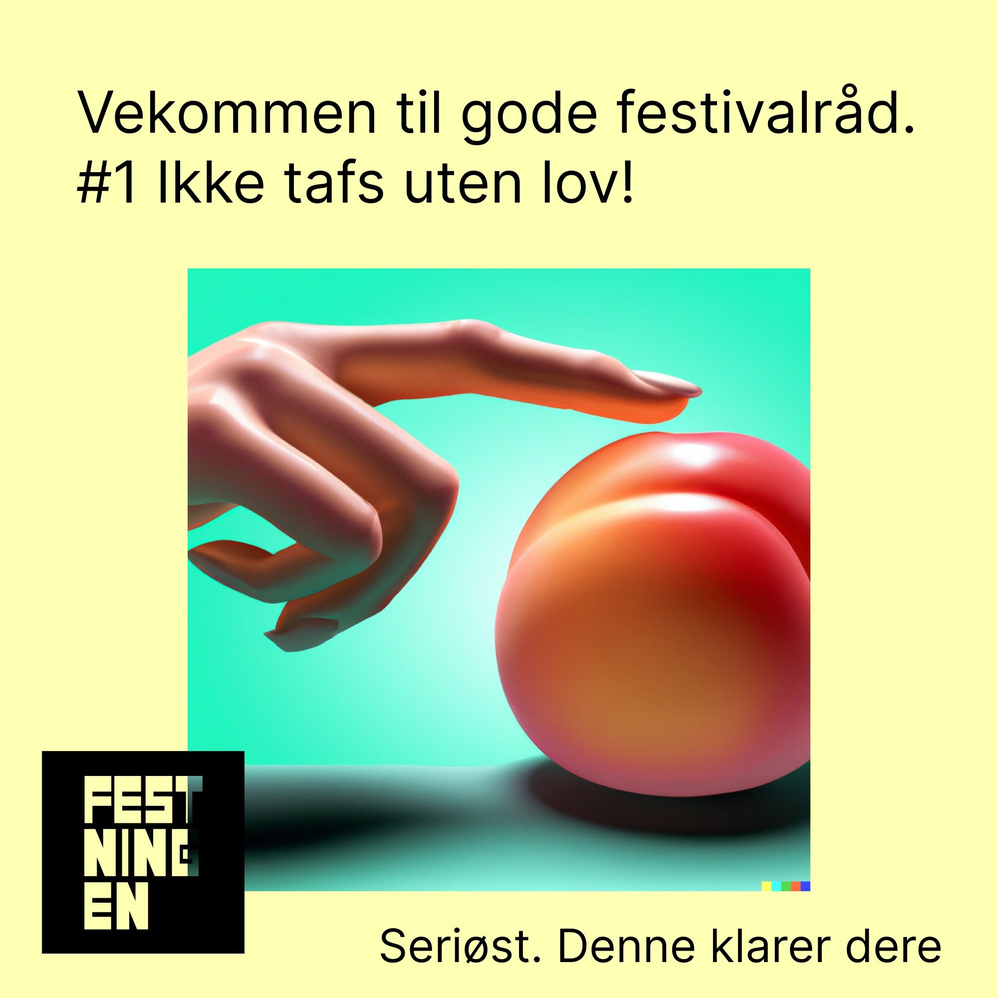 Festivalråd for festningen festival
