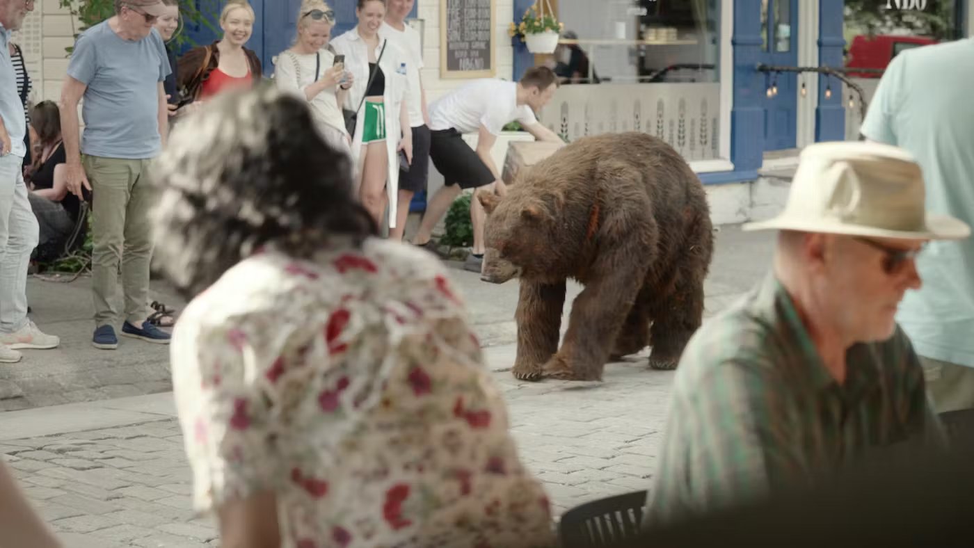 Bjørnen Odin på bytur, en kampanje for Namsskogan Familiepark & Hotell