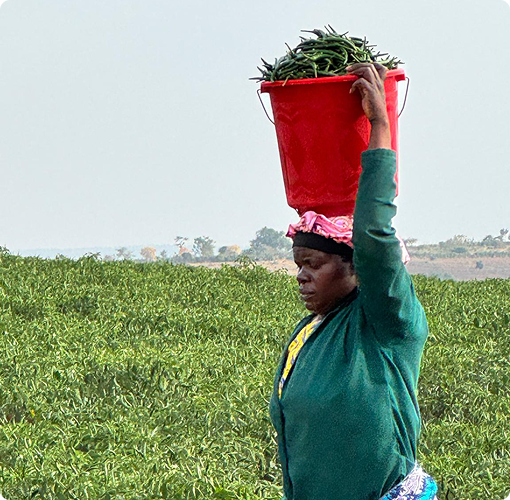 A woman caring a bucket of food.