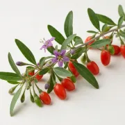 Goji