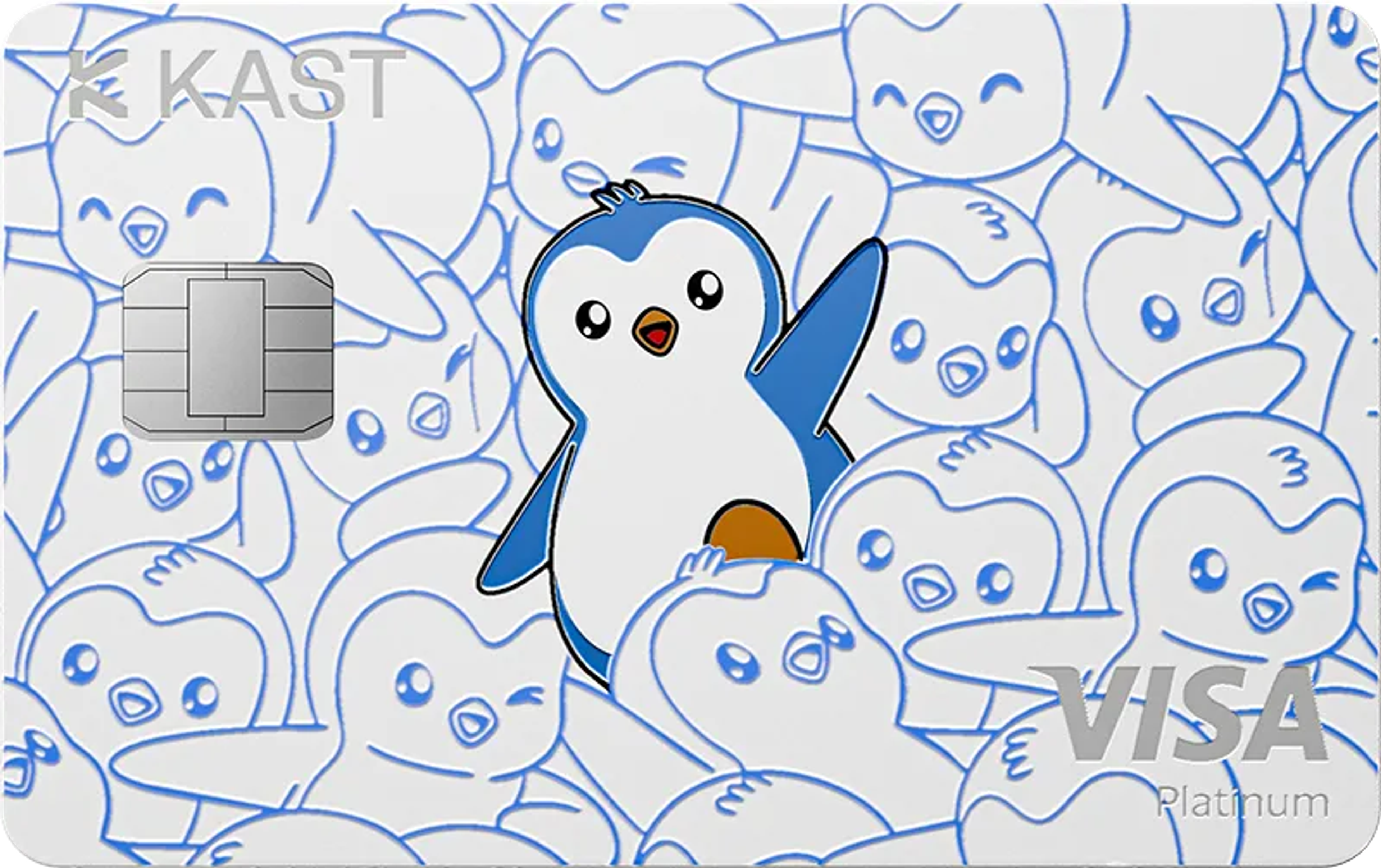 Pengu Card Cover