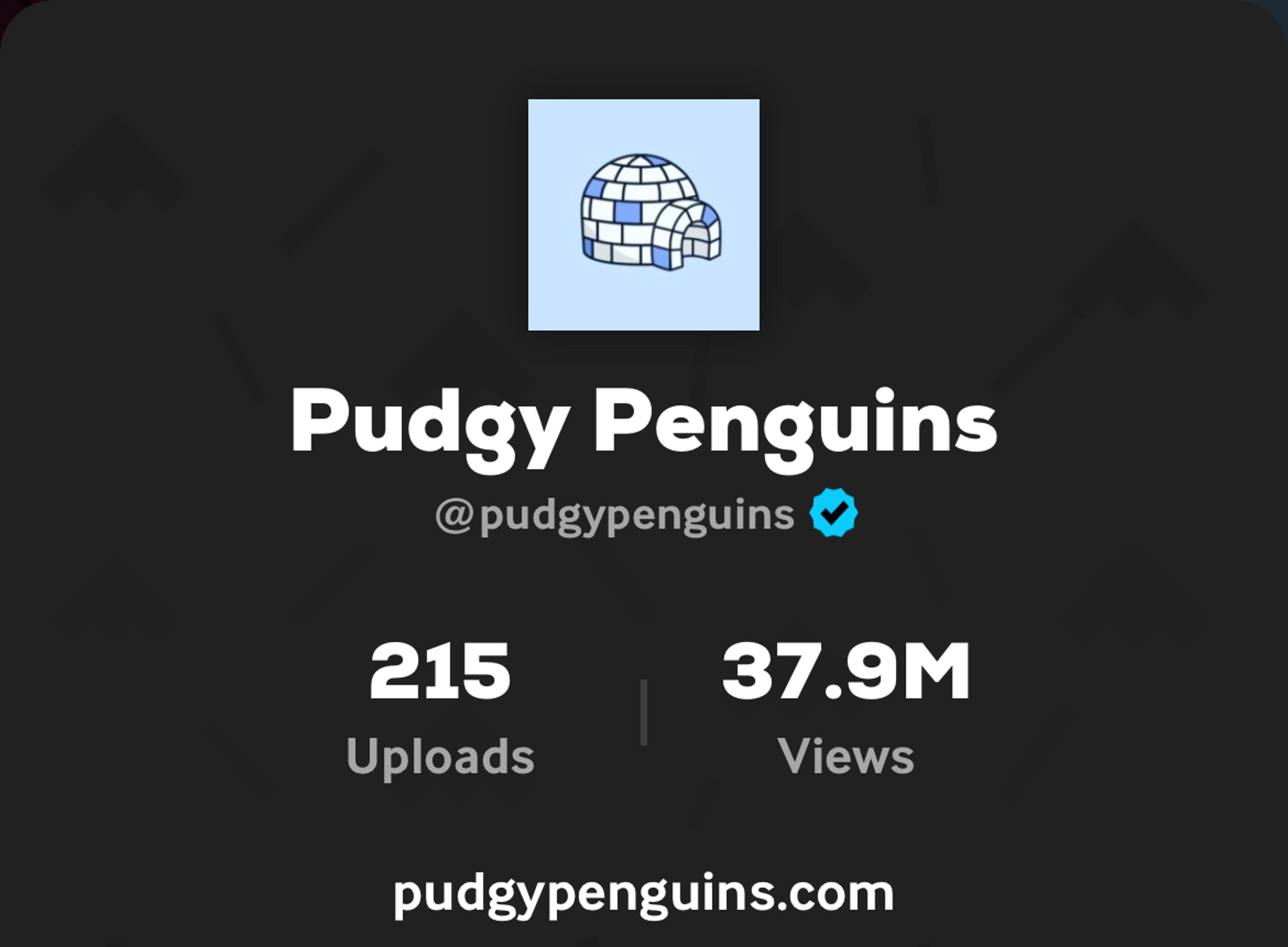 Pudgy Penguins on Giphy