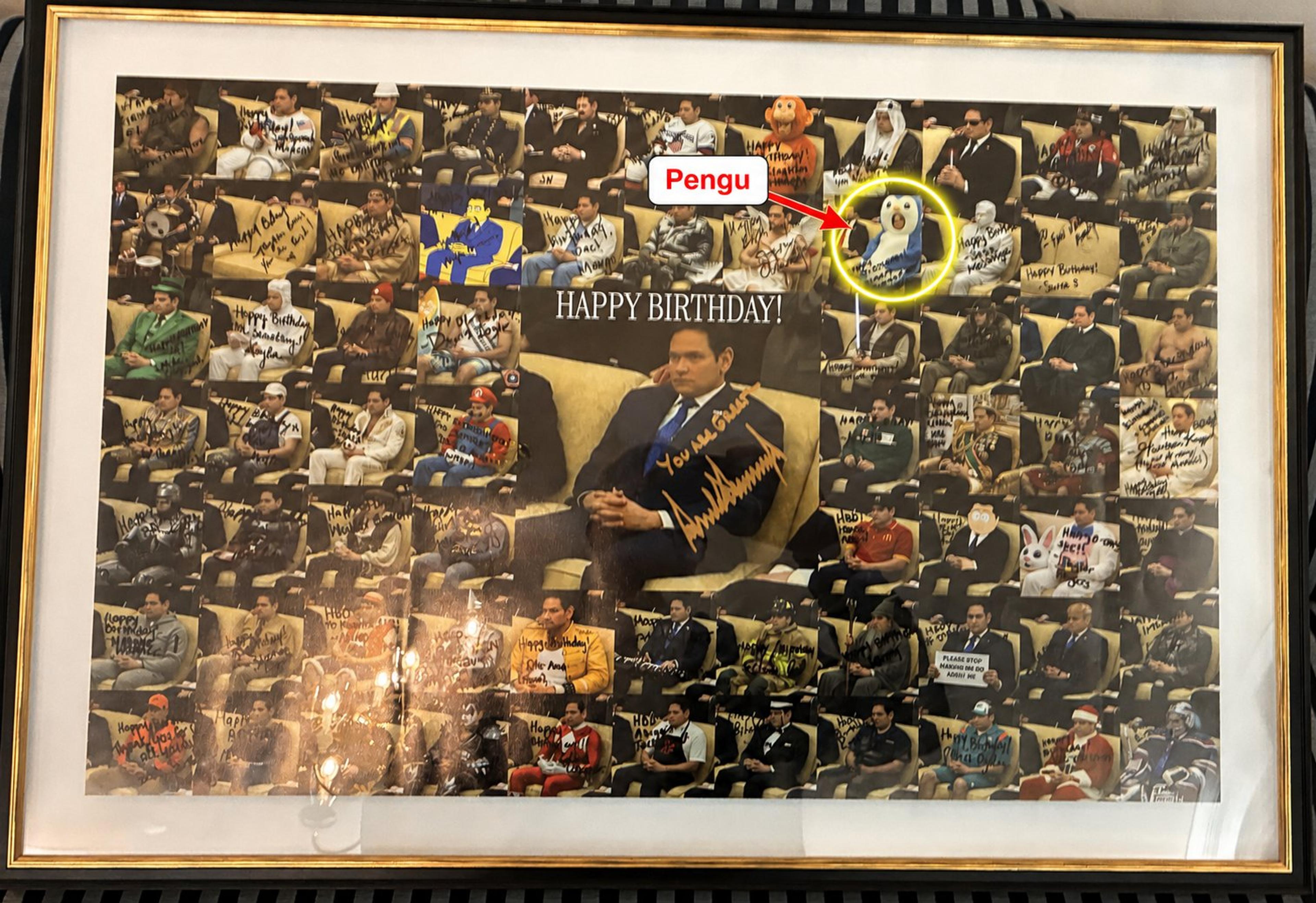 Marco Rubio Pengu Meme