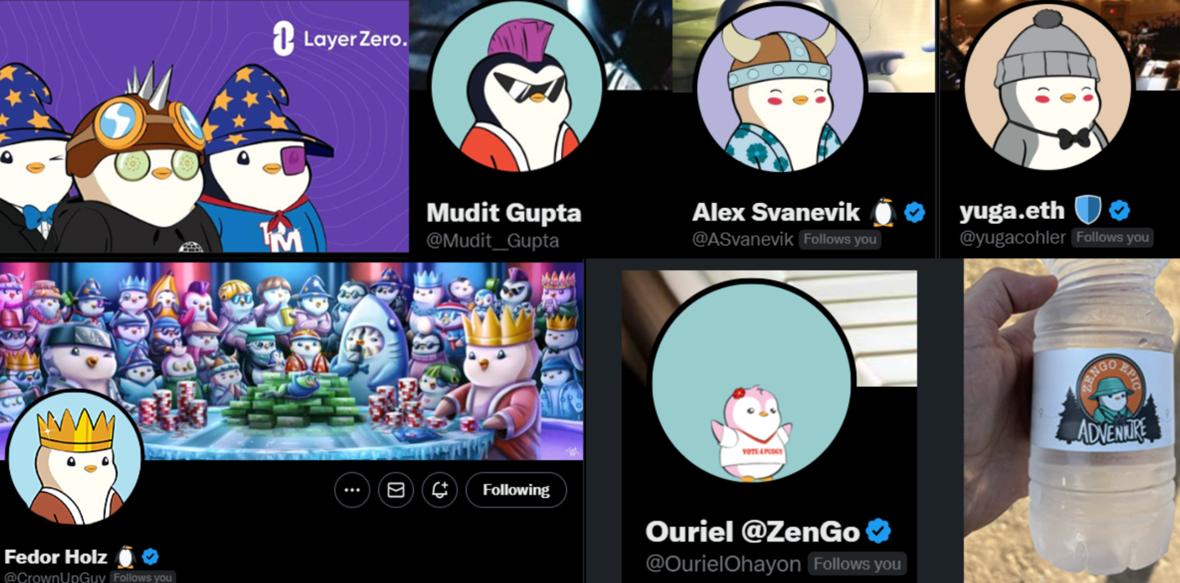 Pudgy Penguins PFPs