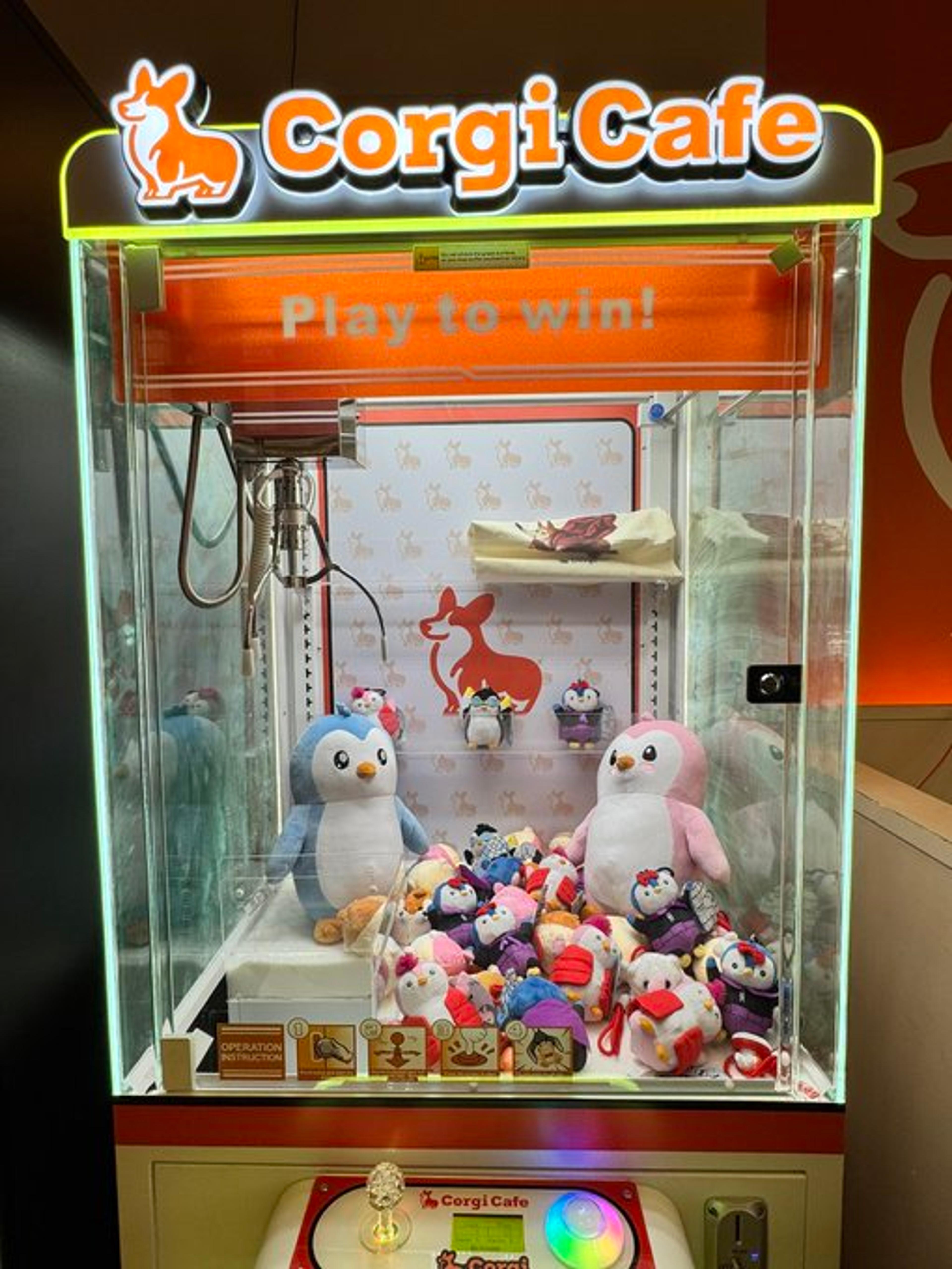 Pudgy Penguins at Corgi Cafe