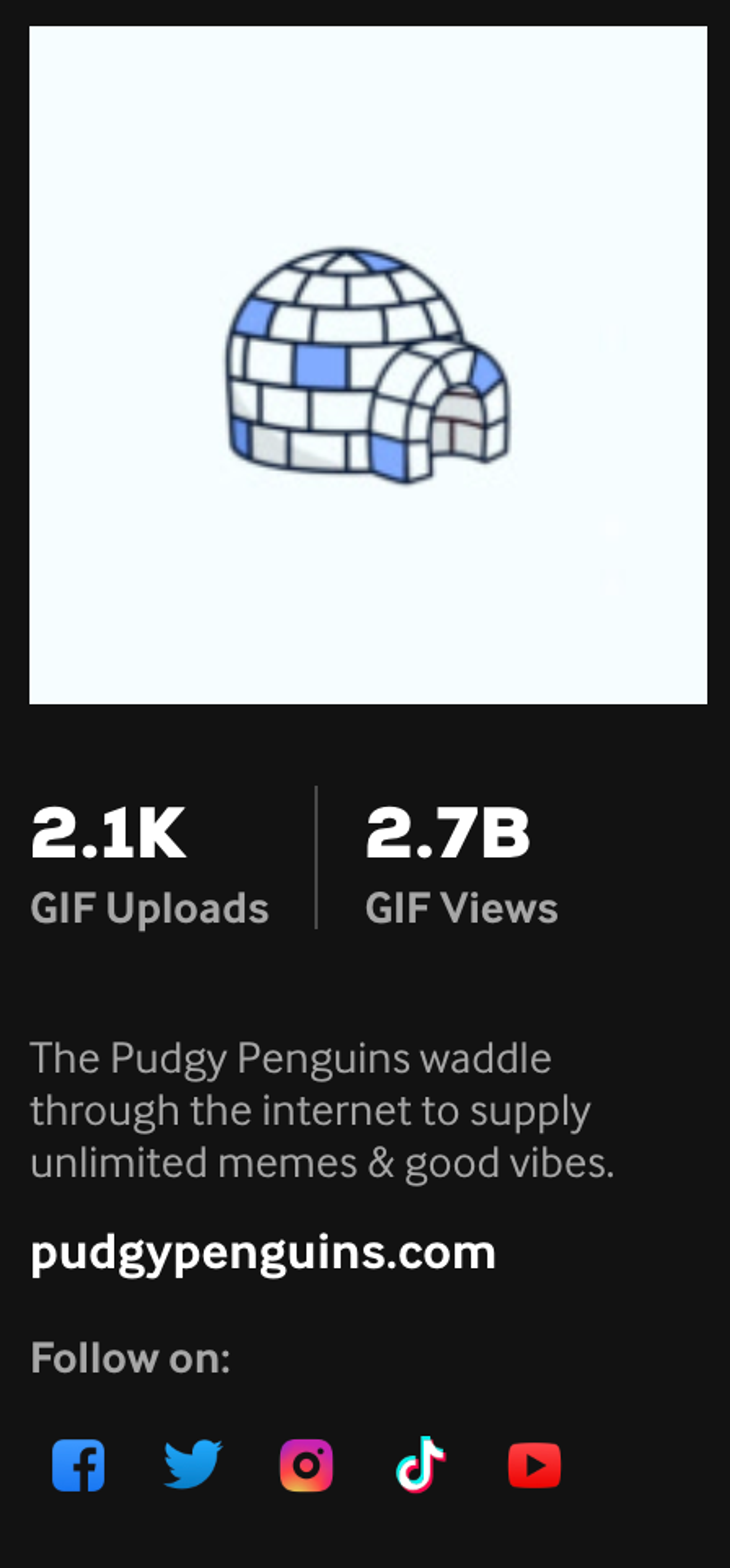 Pudgy Penguins Giphy