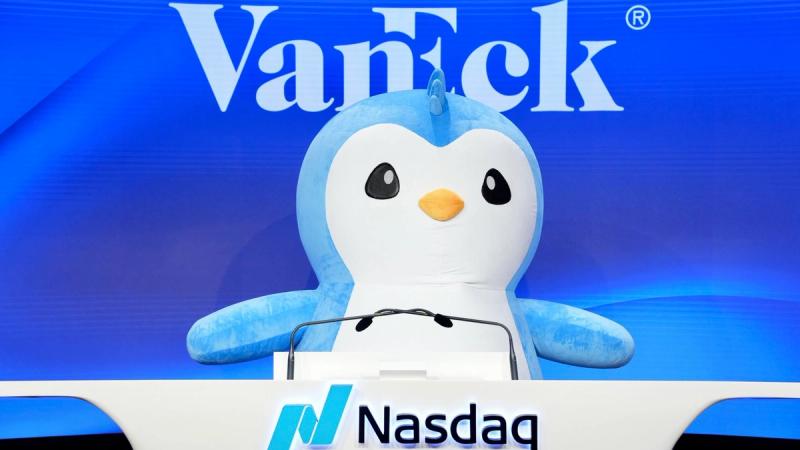 From Internet Meme to Wall Street: The Rise of Institutional Penguimage