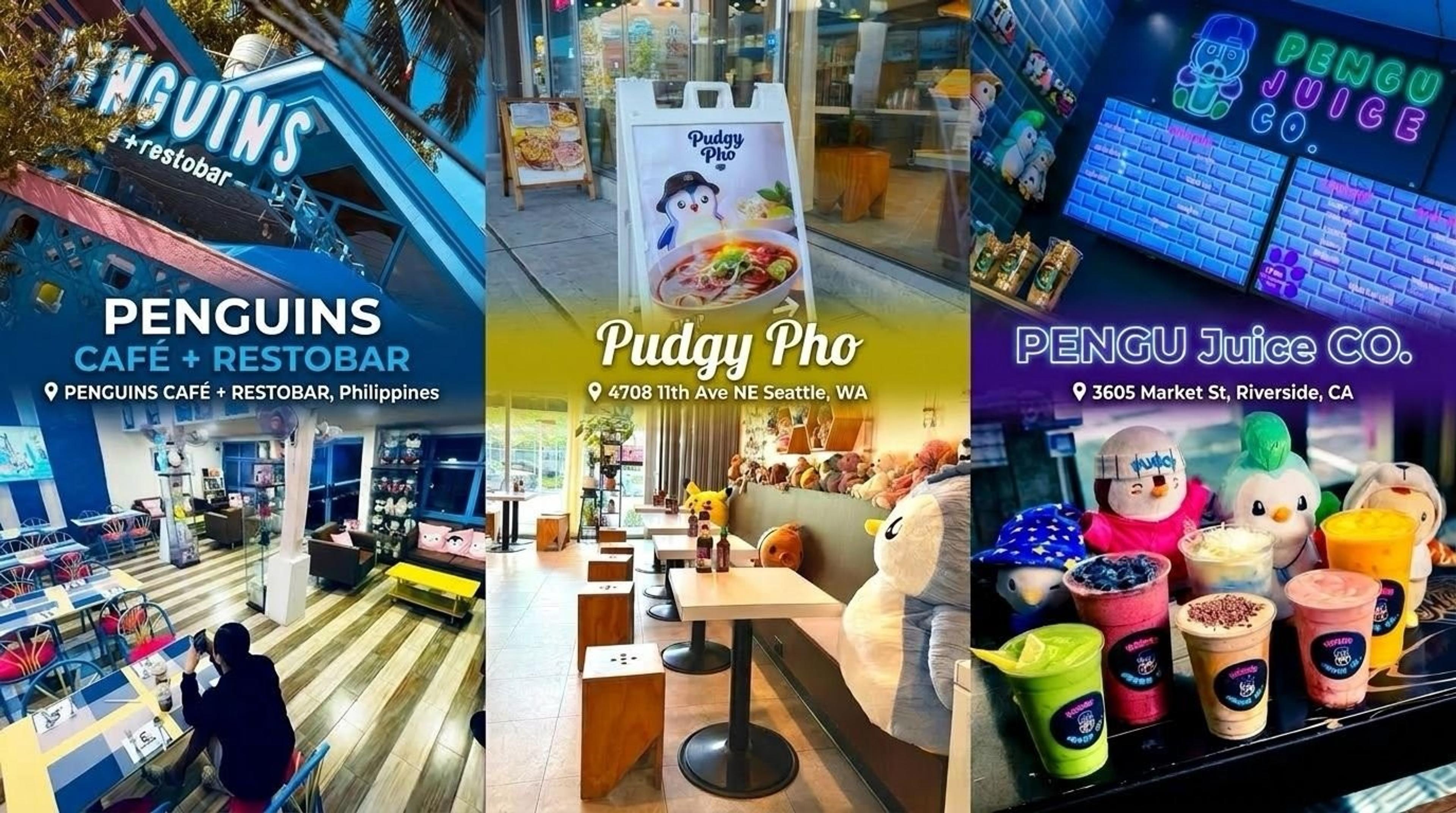 Pudgy Themed Cafes