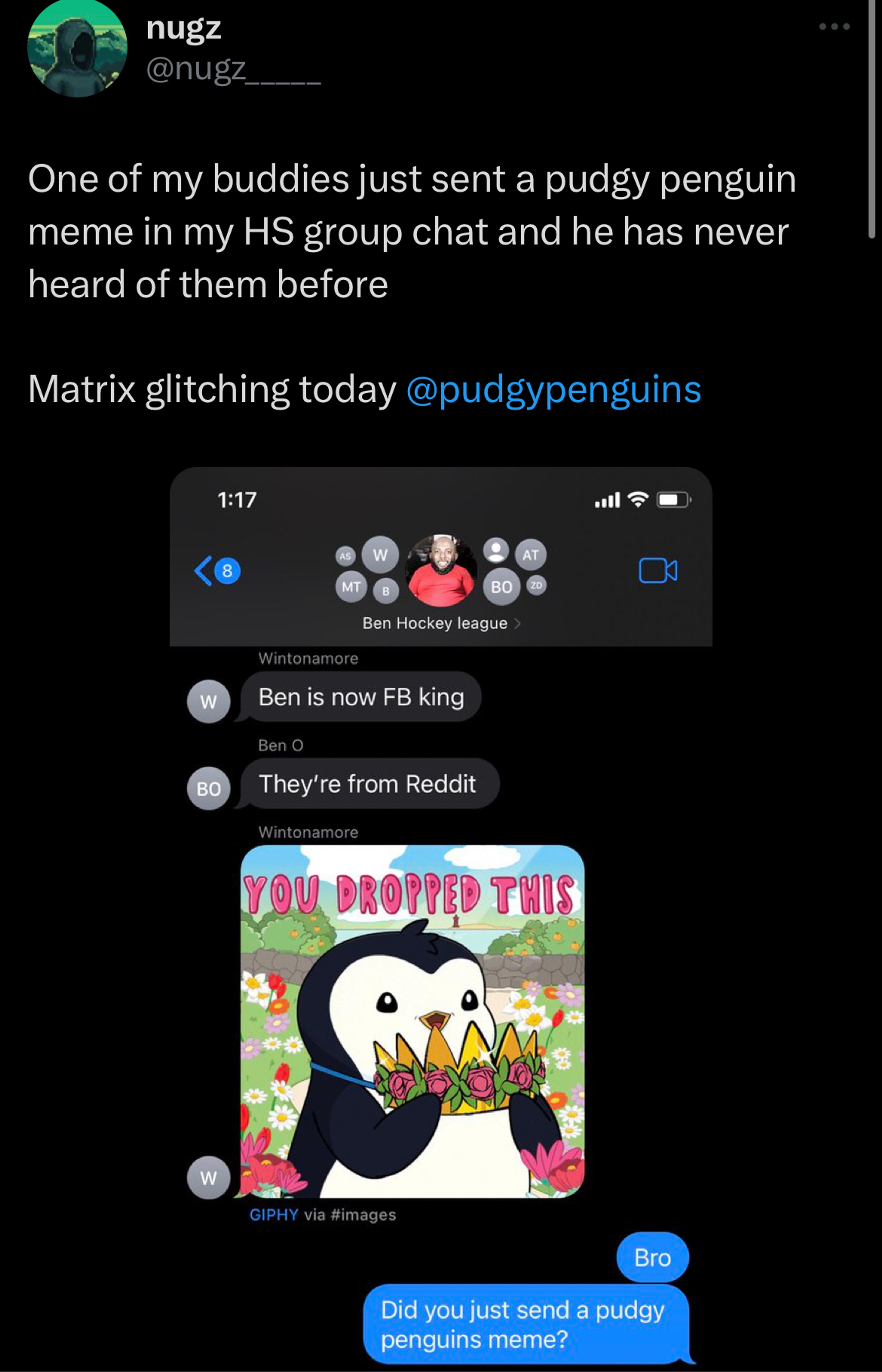 Pudgy Penguins GIFs
