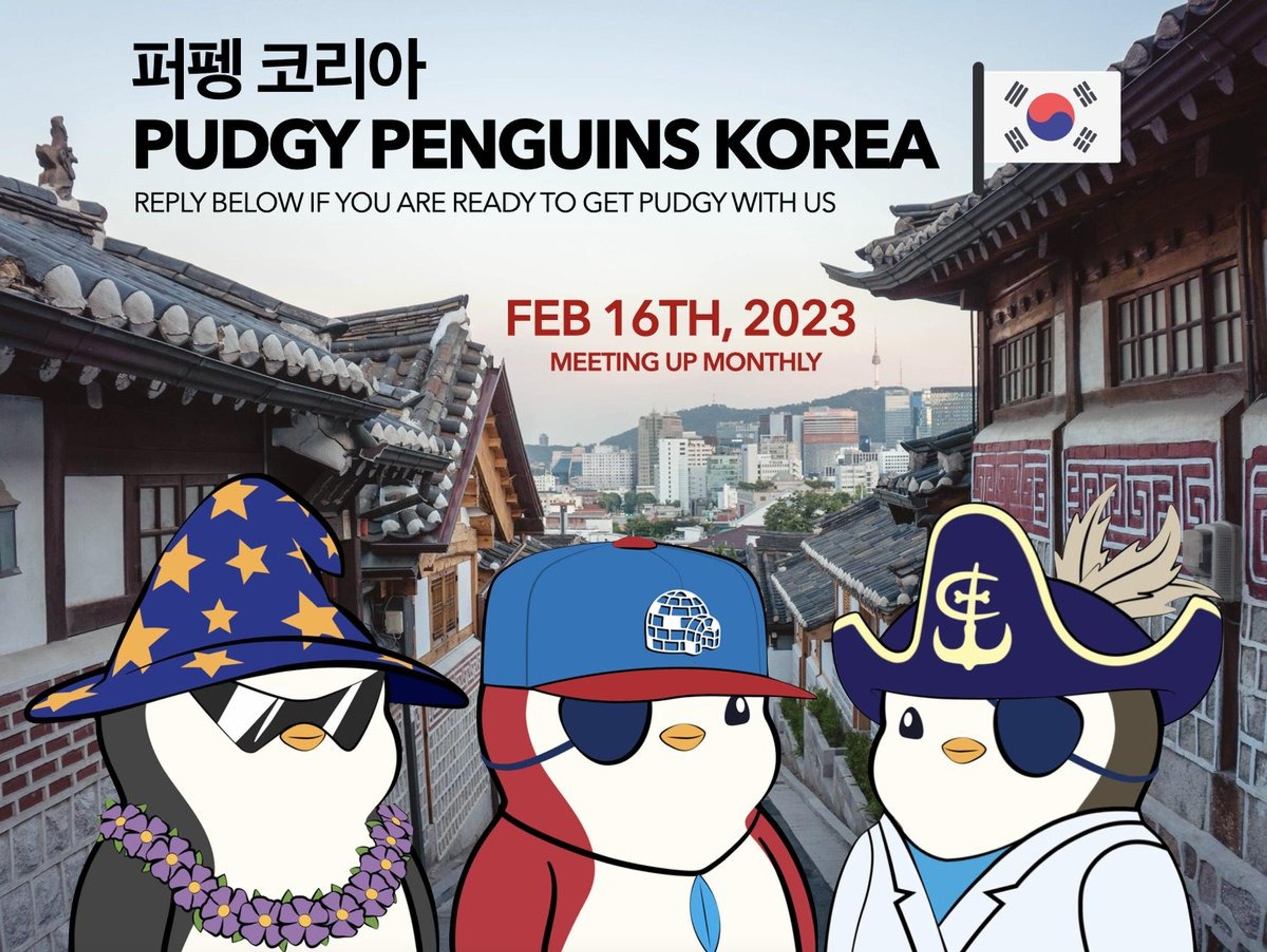 Pudgy  Korea Monthly Meetups