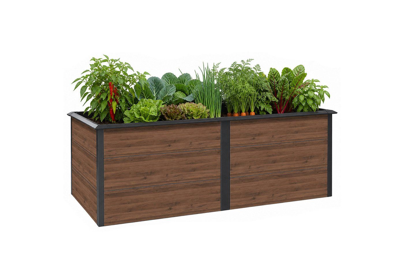 Zelsius Hochbeet verzinkter Stahl 200 x 100 x 77 cm Anthrazit RAL 7016 Walnuss Holzopti, Inkl. Schneckenschutz