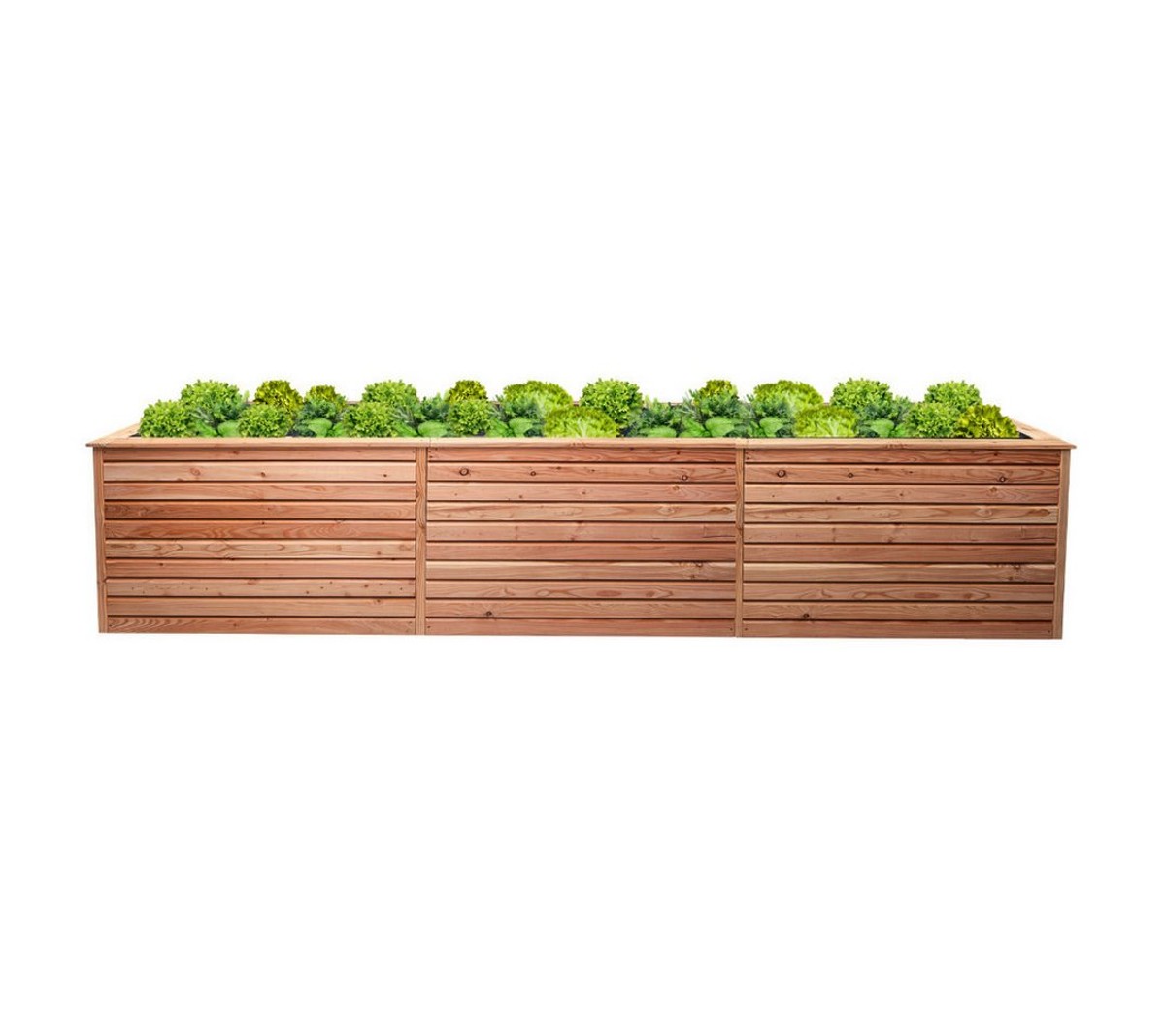 Mega-Holz Hochbeet Mega-Holz Hochbeet Rhombus XXL aus heimischer Lärchenholz, 346x80x73cm, witterungsbeständig, inkl. Pflanzfolie, vormontiert