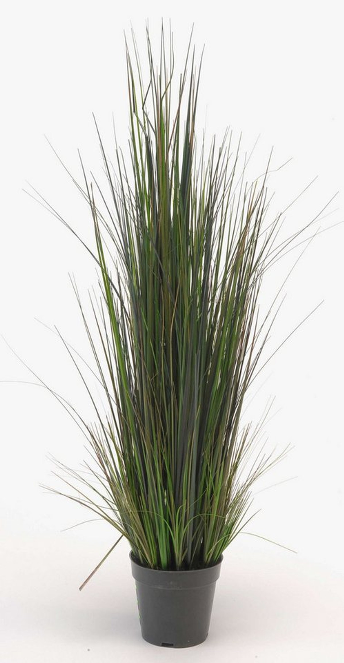 Kunstgras Deko Schilfgras, grün, 90cm - Künstliches Gras Schilf, artplants, Höhe 90.0 cm
