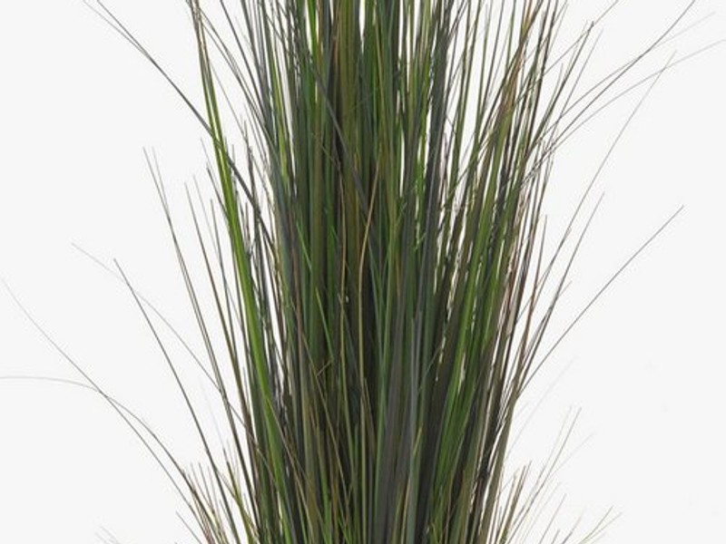 Kunstgras Deko Schilfgras, grün, 90cm - Künstliches Gras Schilf, artplants, Höhe 90.0 cm