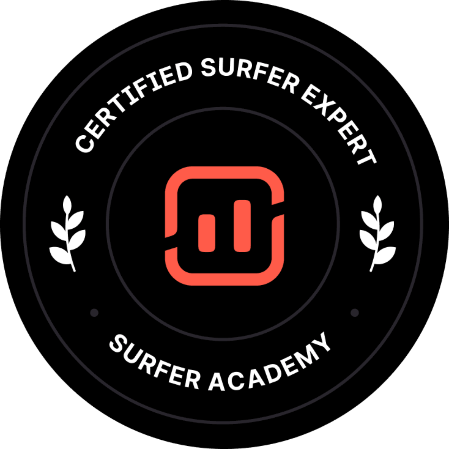 Expert for Surfer SEO Michael Kienzler