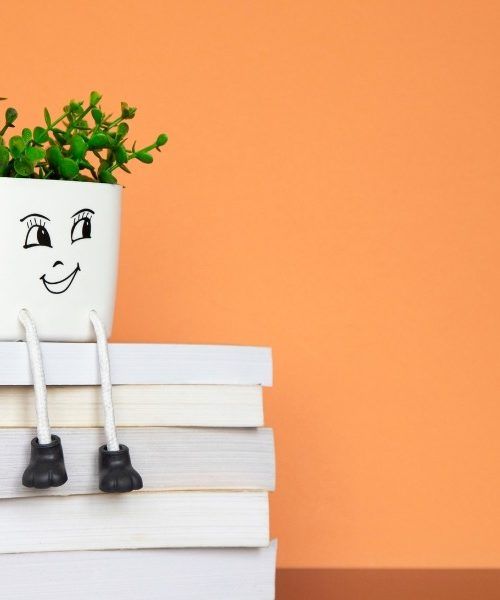 Mit KI im Content SEO können SEO Texter Freelancer richtig gute Inhalte kreieren.