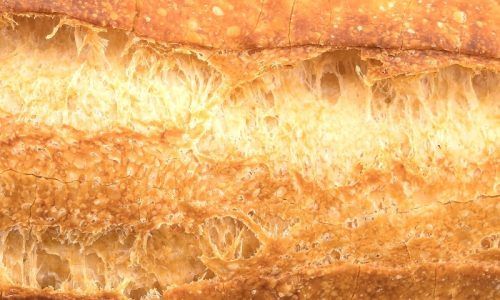 Die Zukunft des Brotbackens beginnt in deiner Küche.​