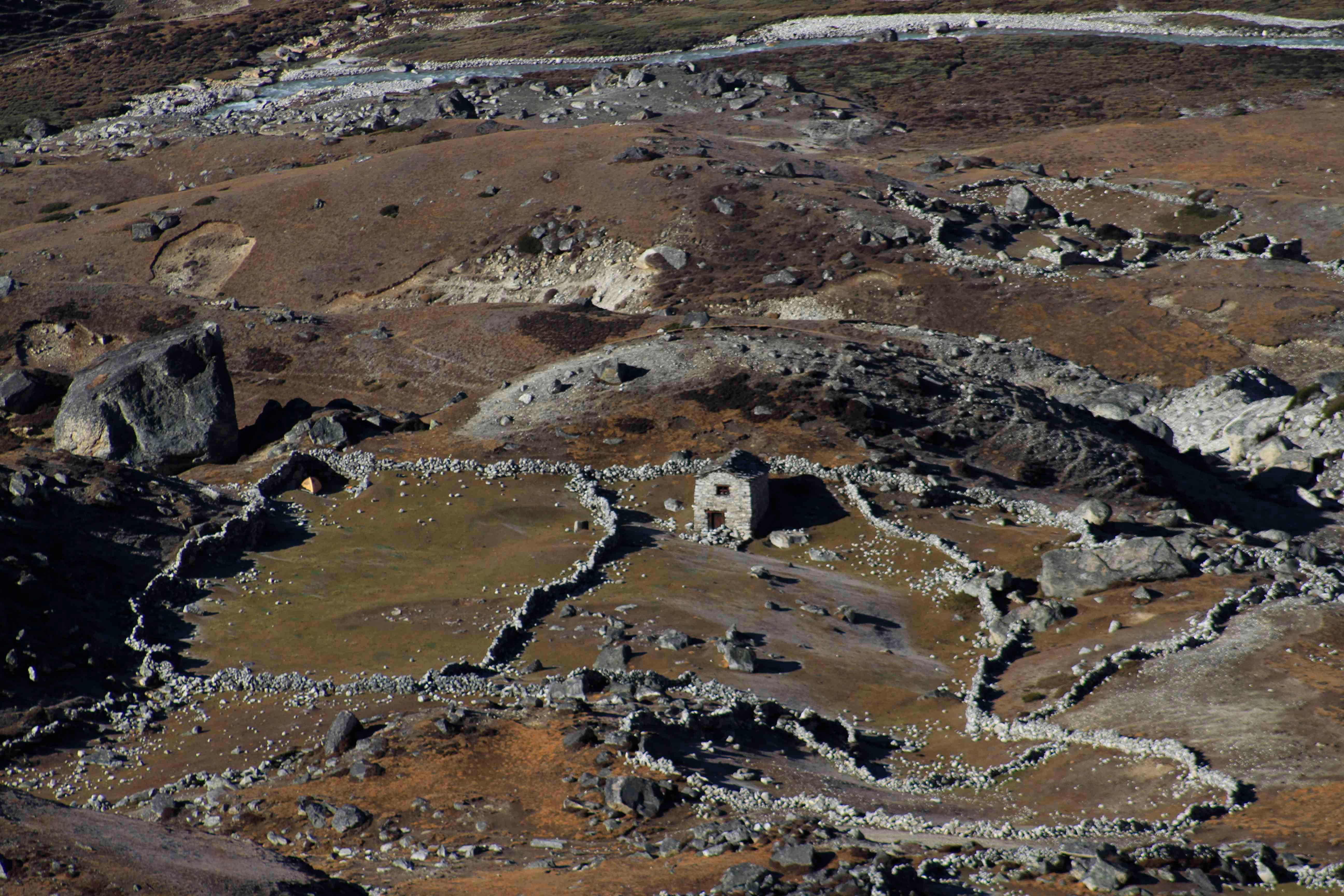 Lower level yak camp