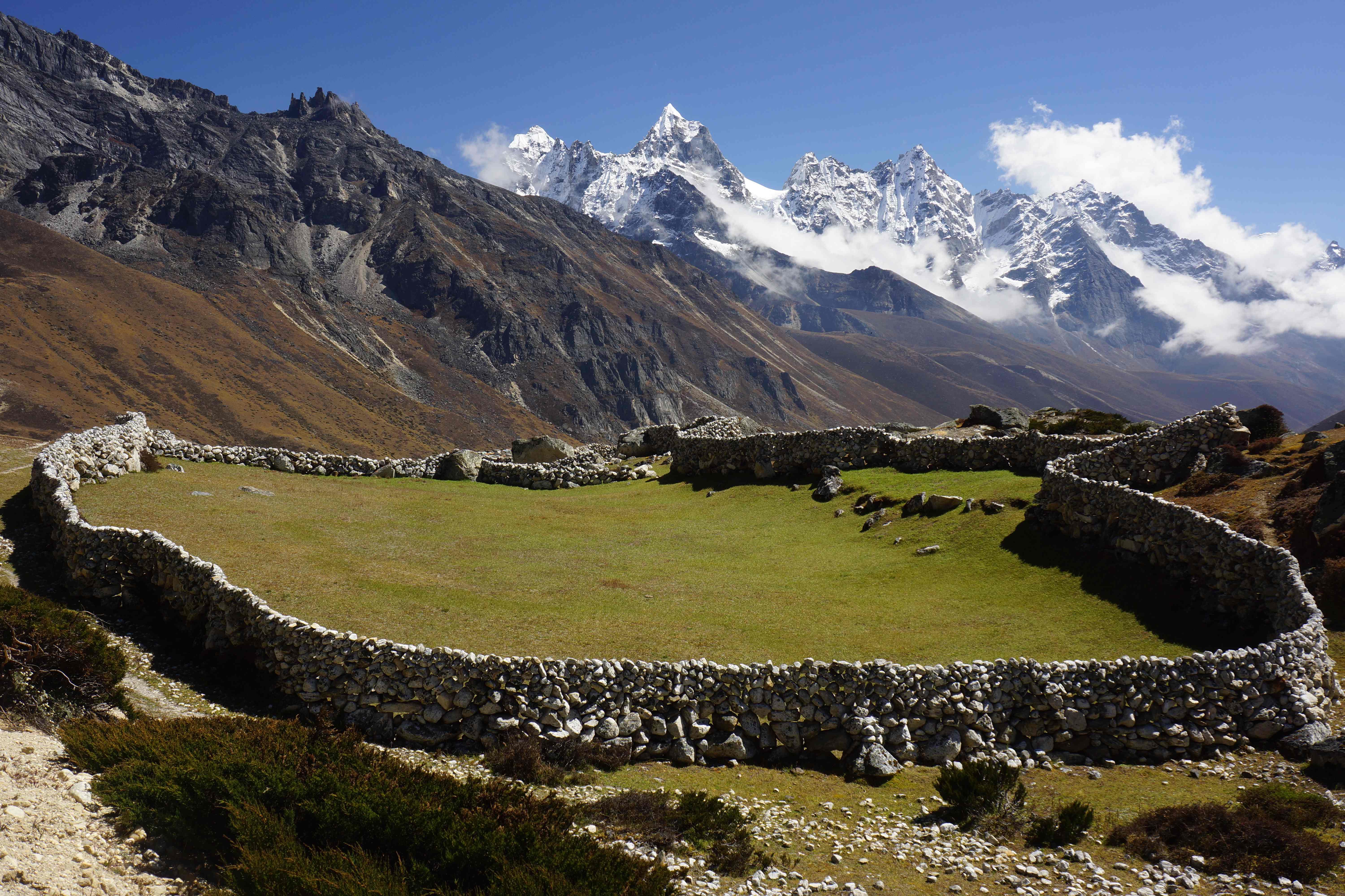Deserted yak farms