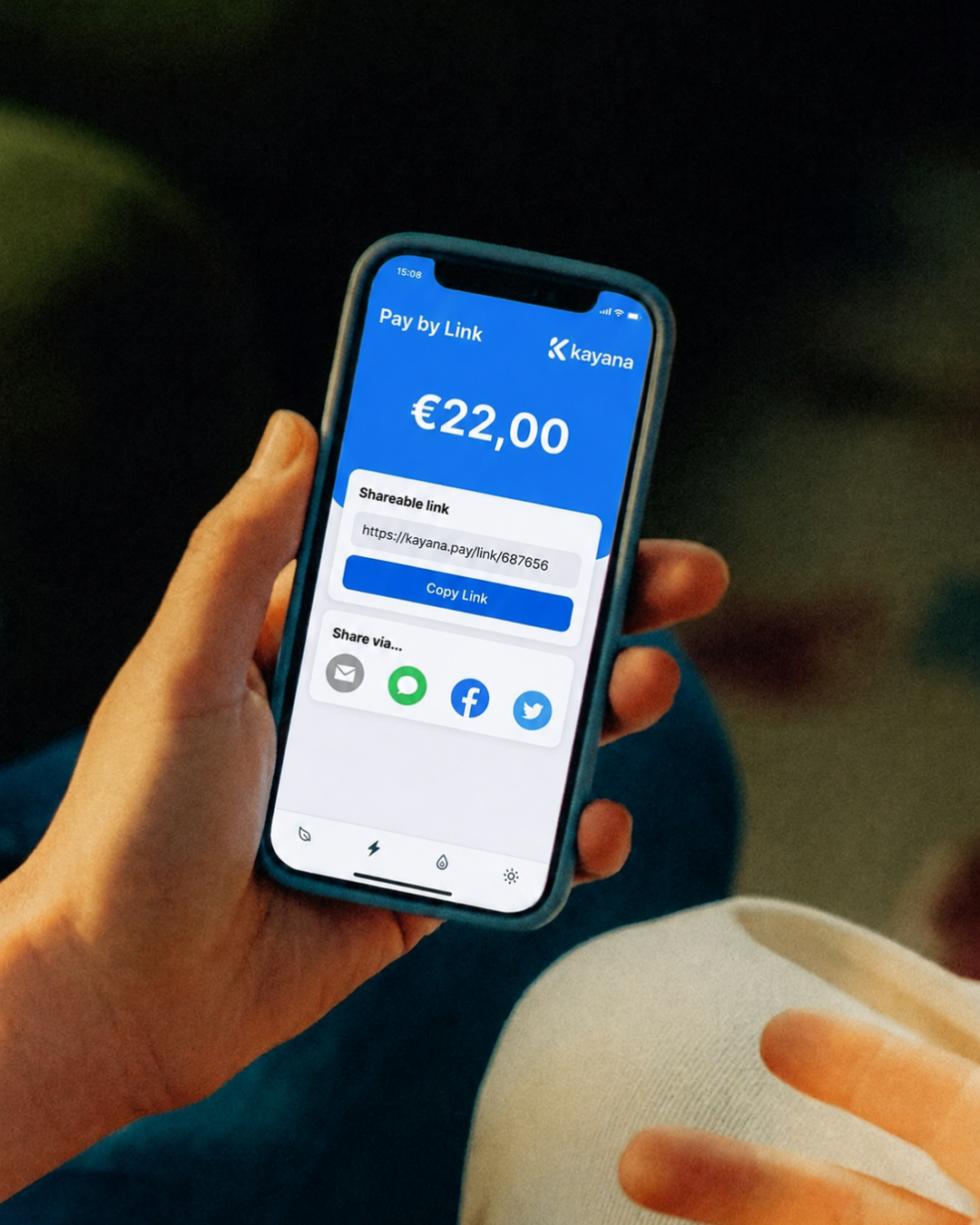 Payment Links operator detail
