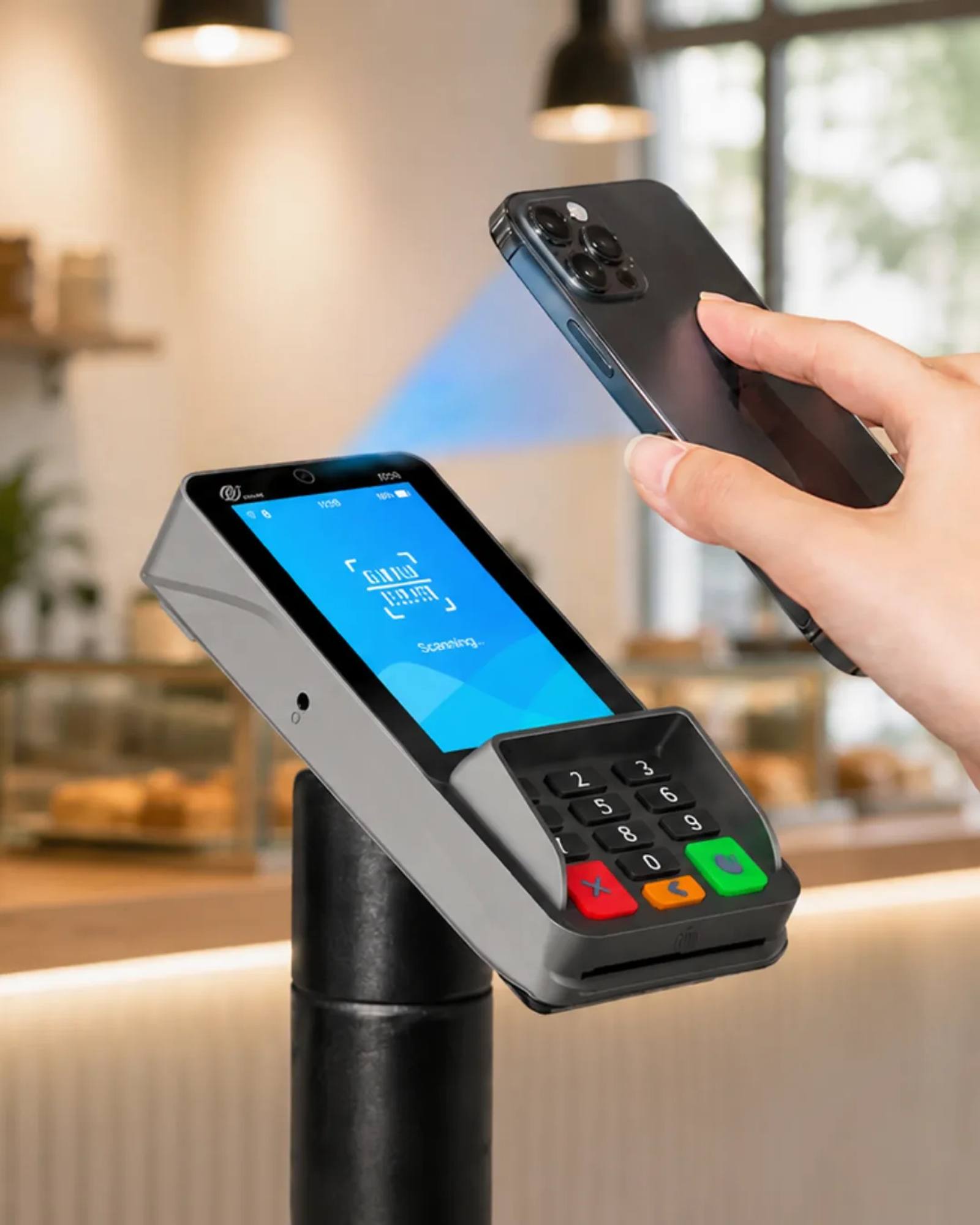 Payment Processing in use during a payment