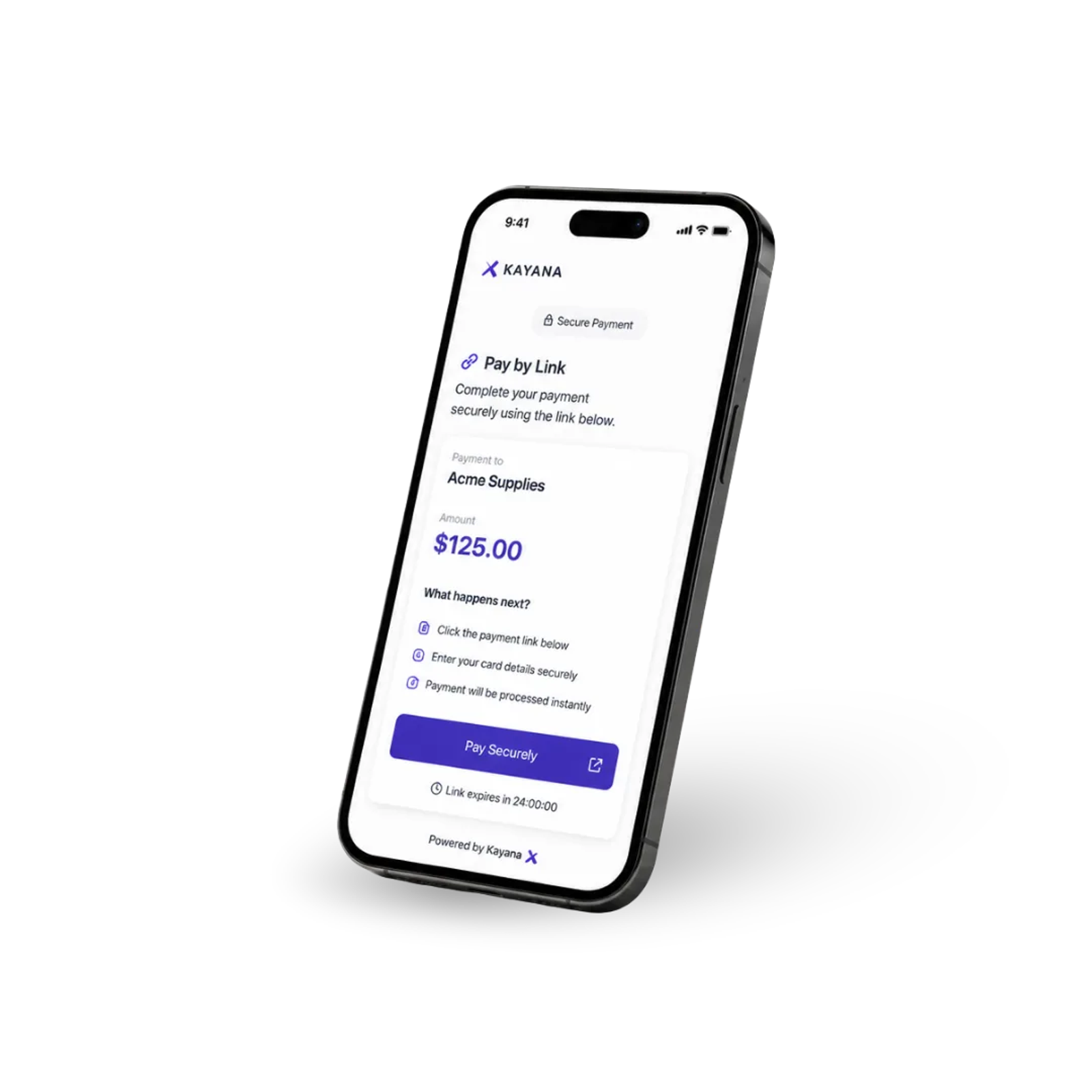 Payment Links