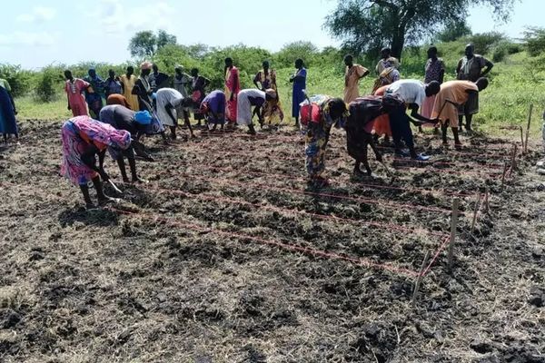 Supporting community farming