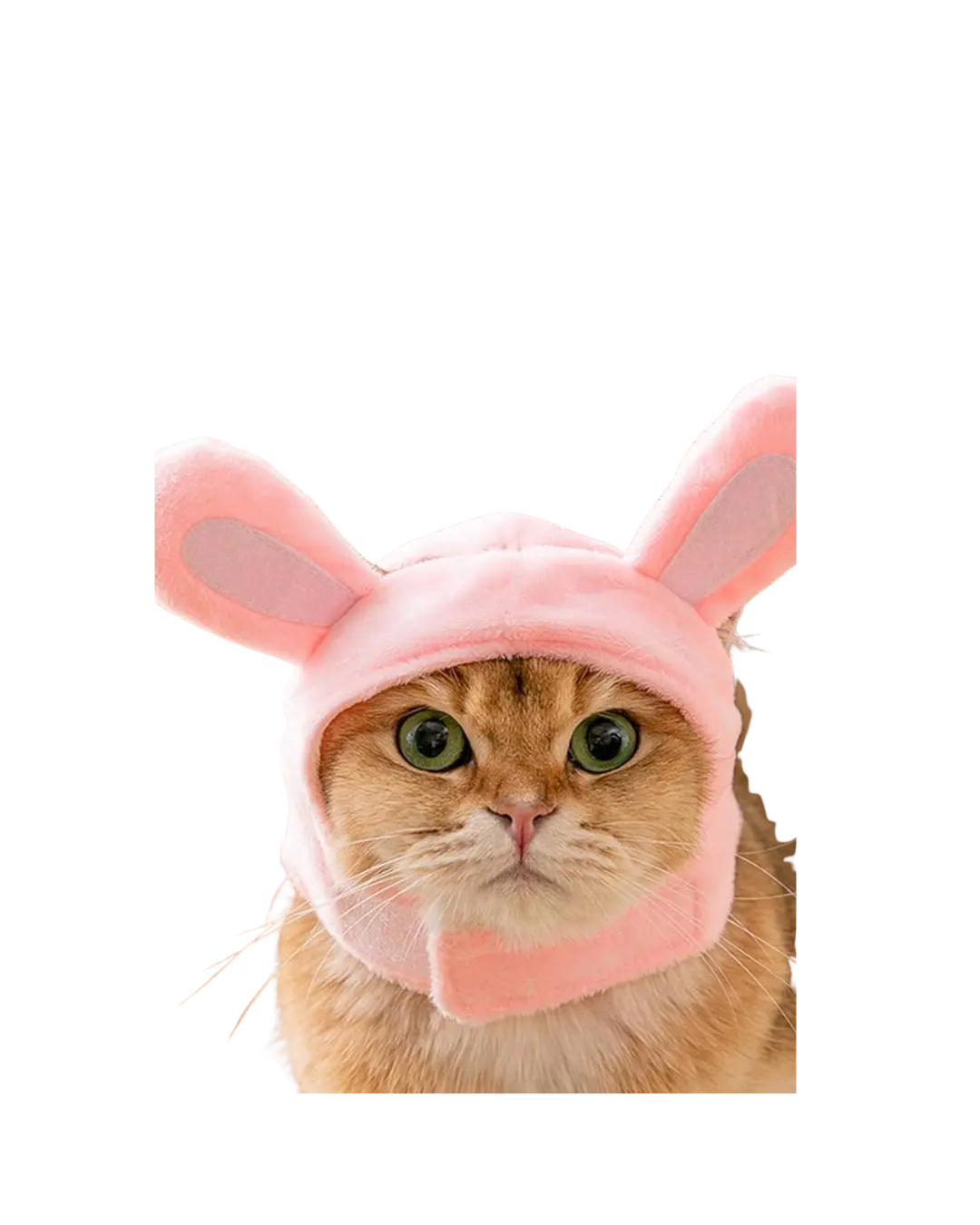 Cat Head Warmer S,M,L