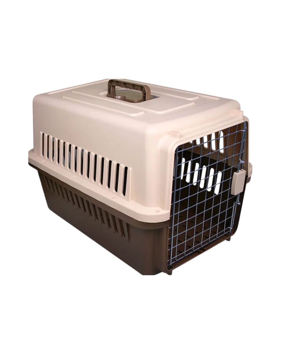 Plastic carrier L