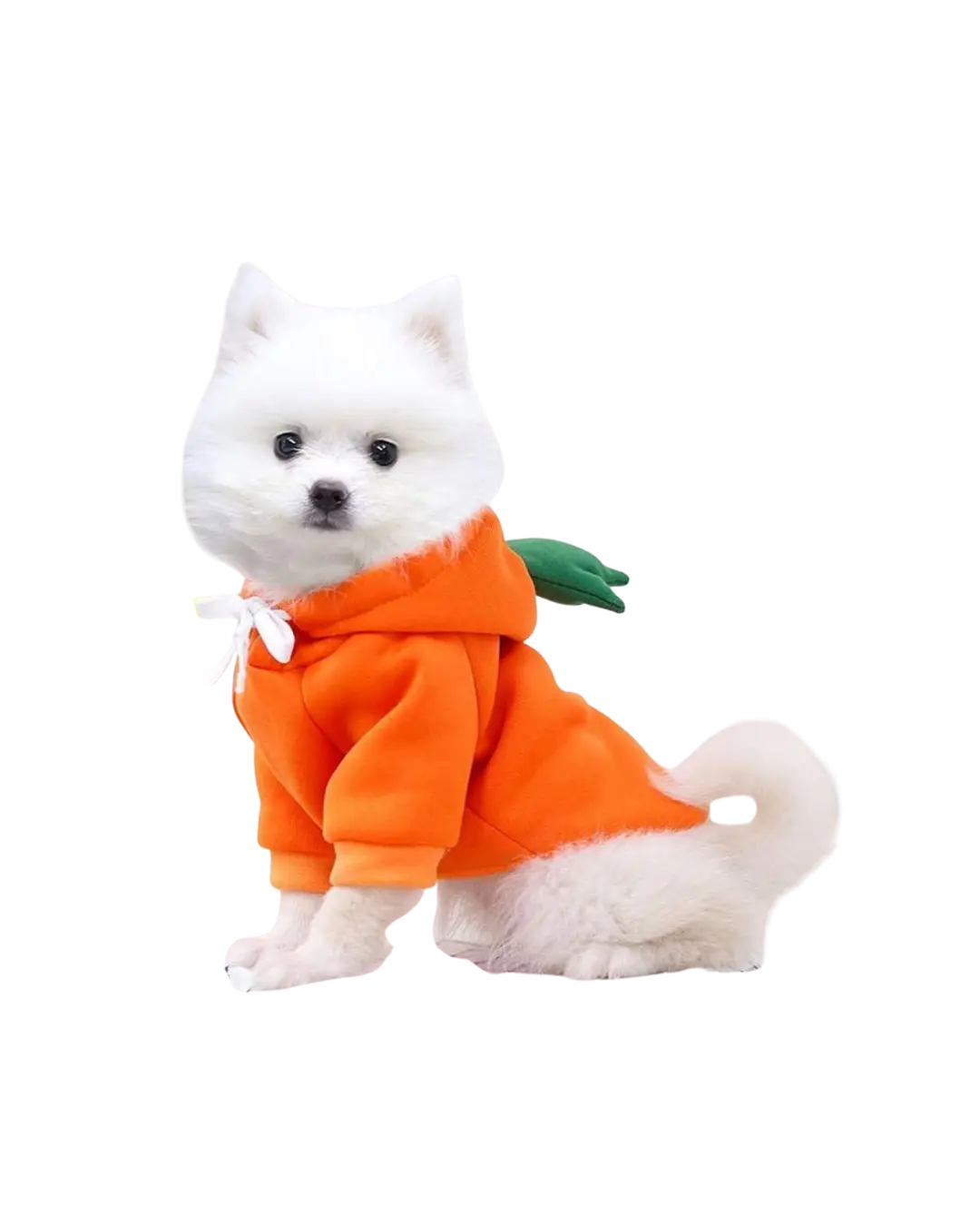 Orange Cloth
