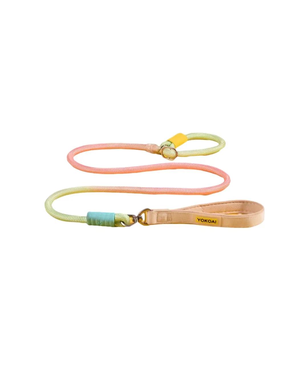 Complete Leash & Collar S