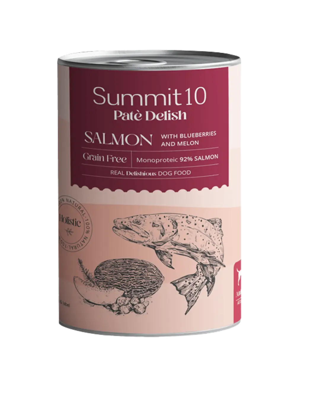 Summit 10 Pate Delish with Salmon 400g