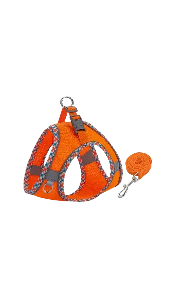 Mesh fabric harness and leash